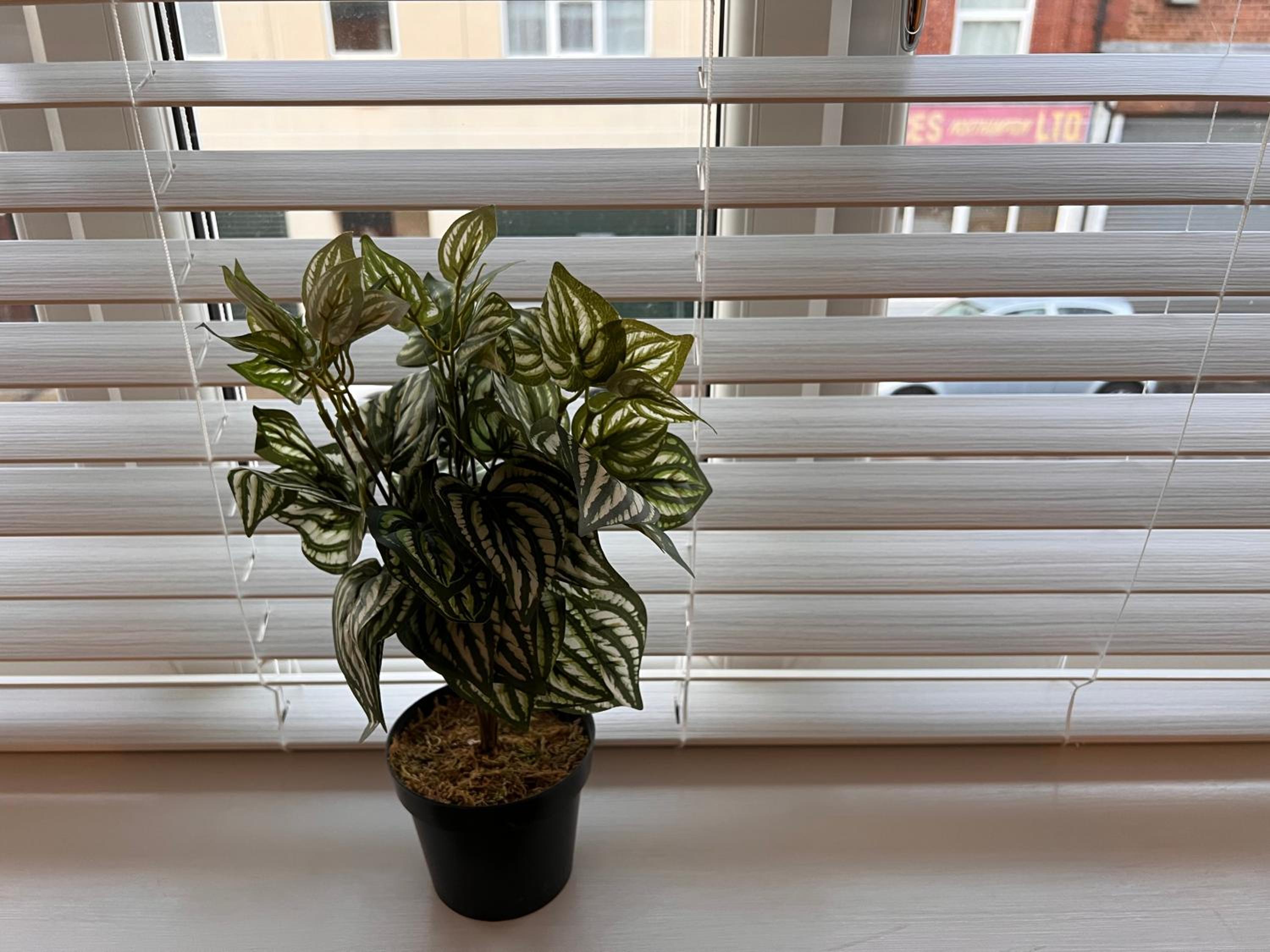 Photo 16