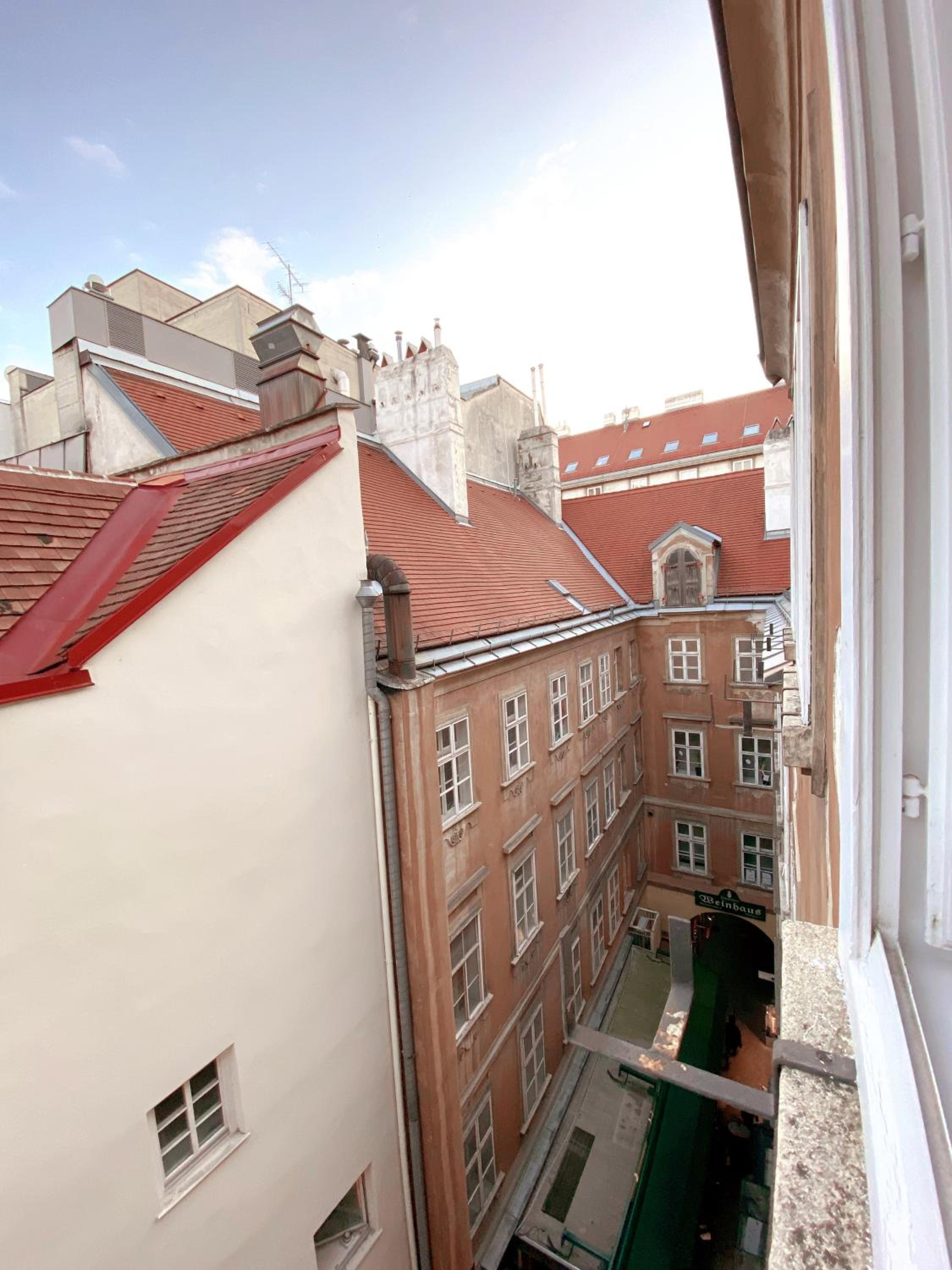 High in Vienna at Stephansplatz
