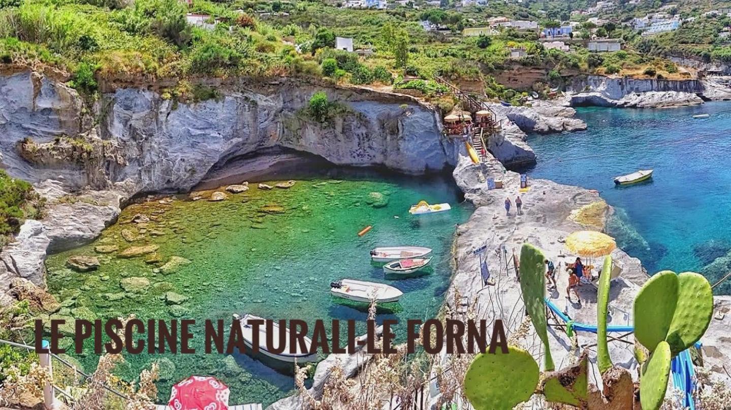 Ponzamania Appartamenti Ponza ,,Blumarine'' photo 3