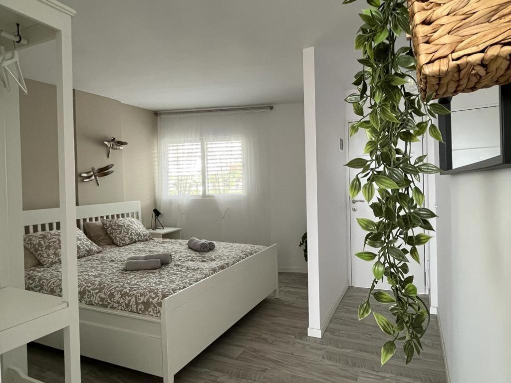 Apart Hotel Ponderosa Tenerife