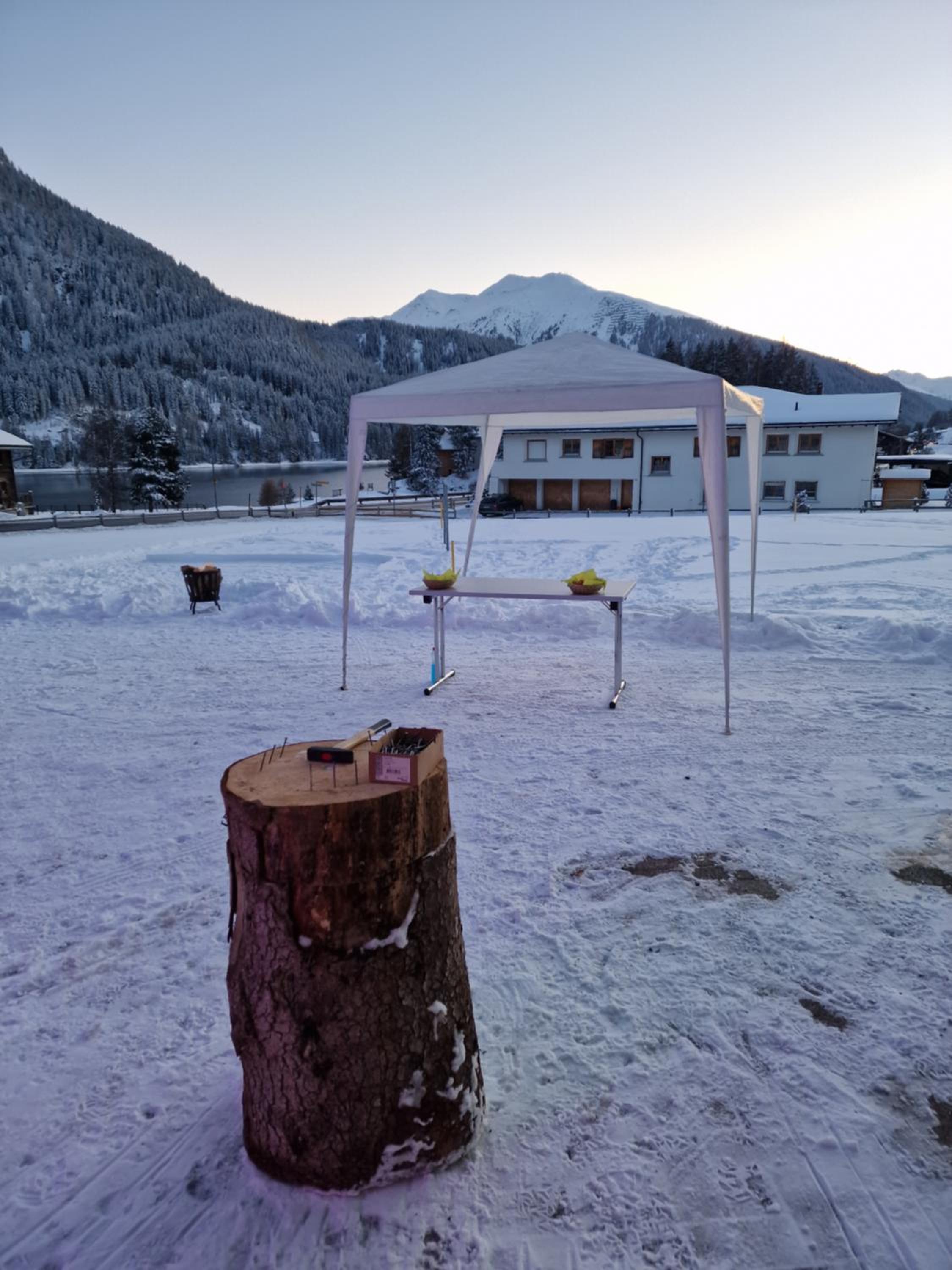 Ferienhaus Davos 