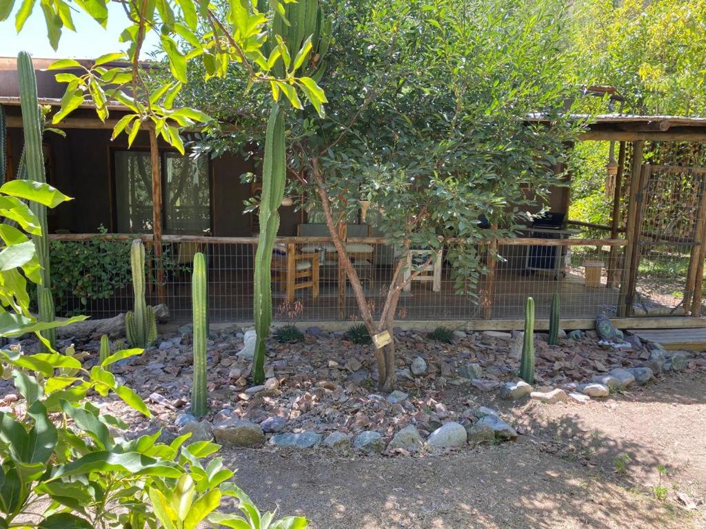 Casa Amatista Travels