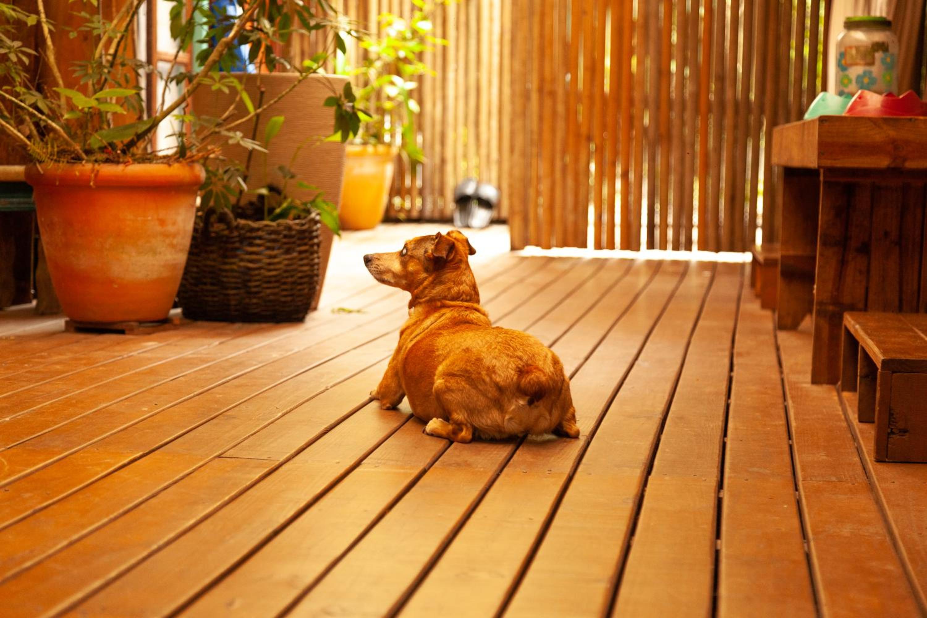 Photo 22