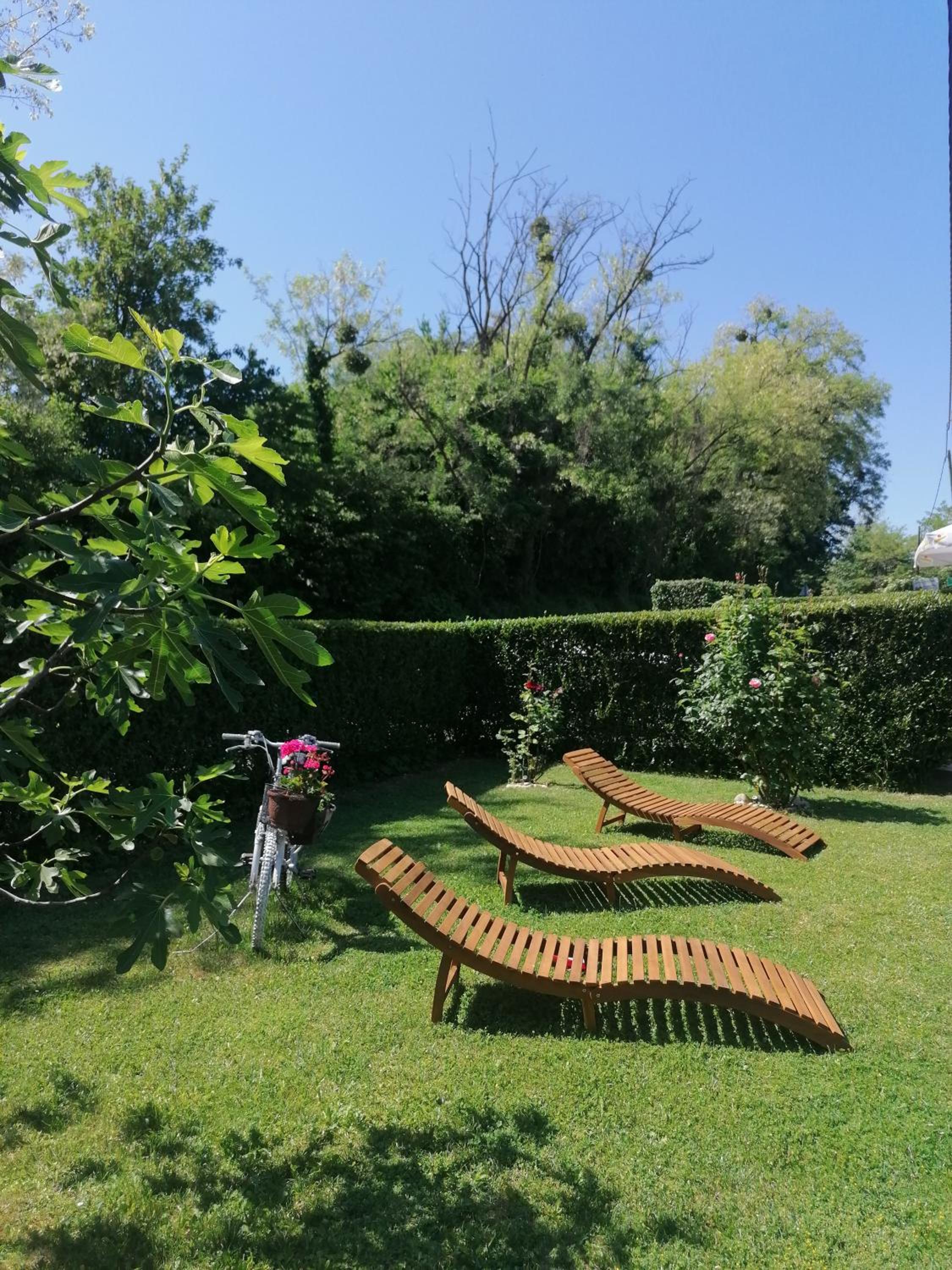 Vita Natura with sauna and jacuzzi view 5