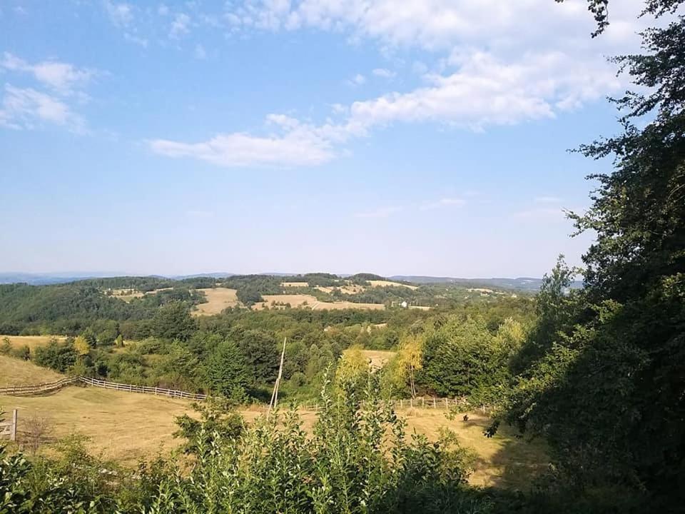 Photo 27