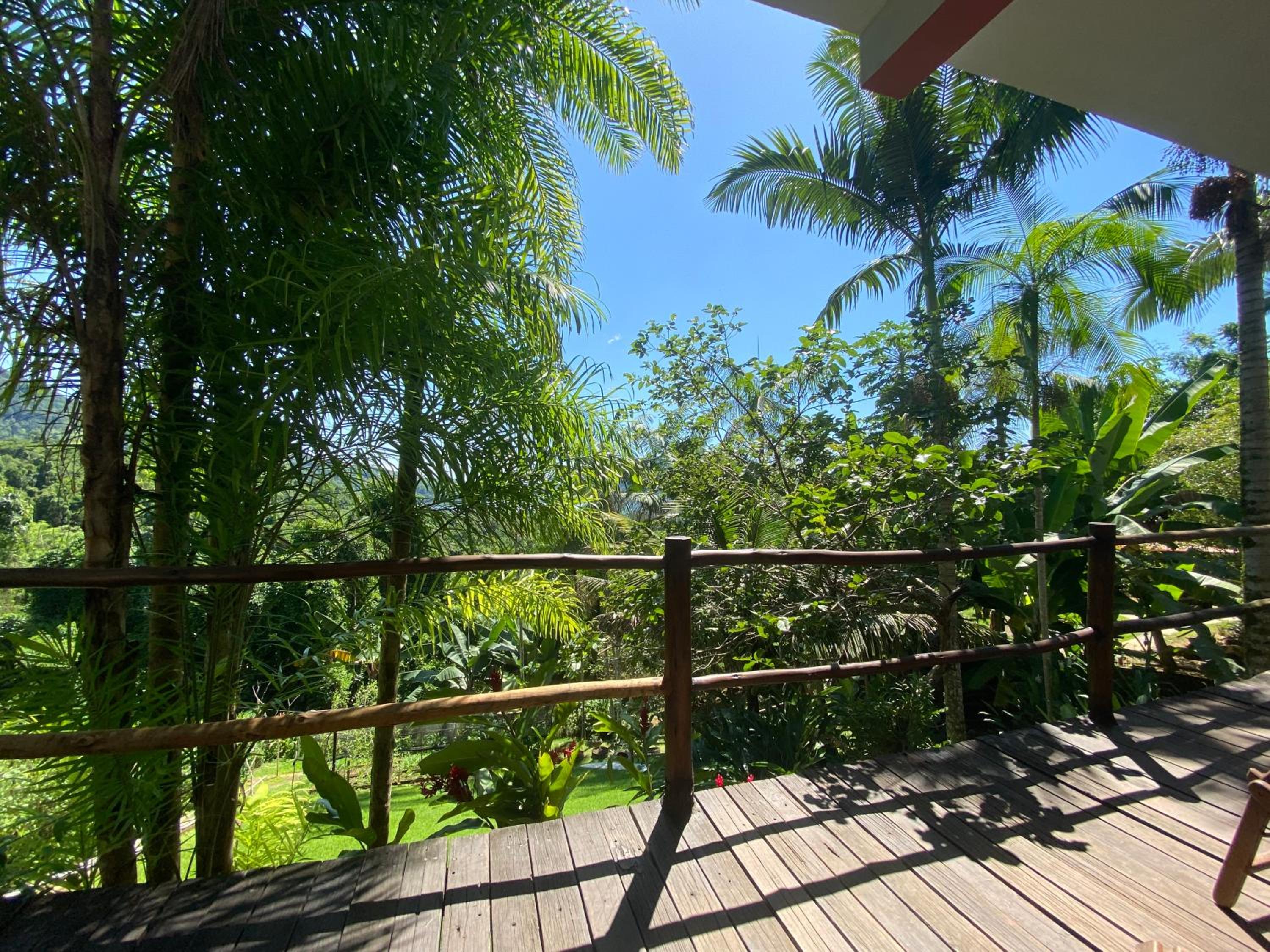 Recanto Ipê Amarelo