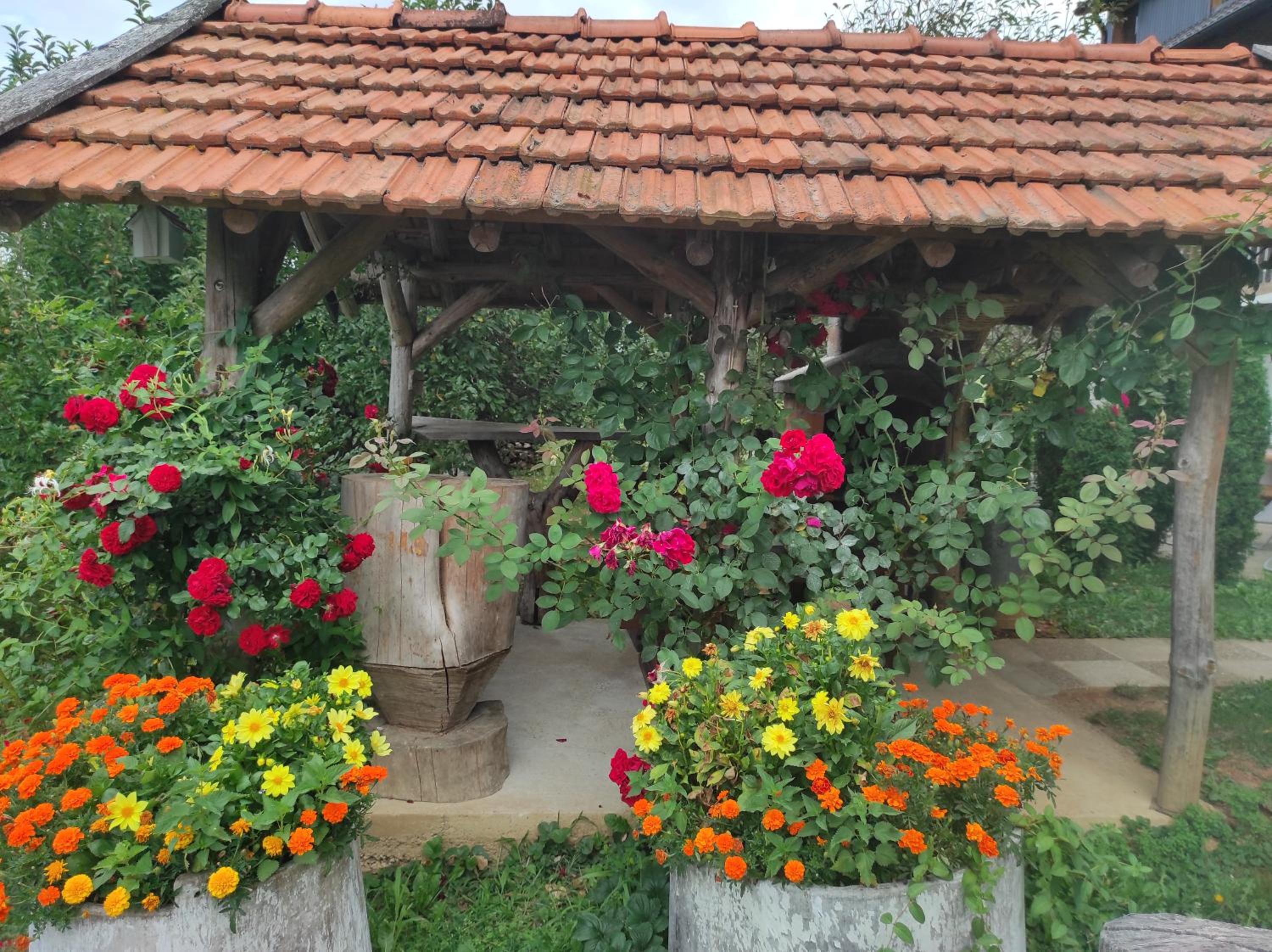 Apartman Jakov