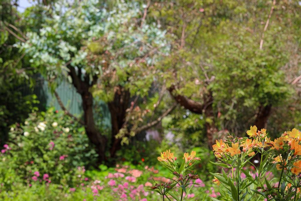 Daysy Hill Country Cottages