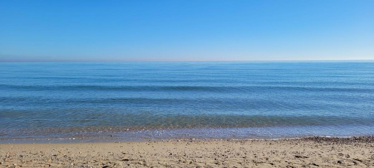 Sophie's Oasis photo 5