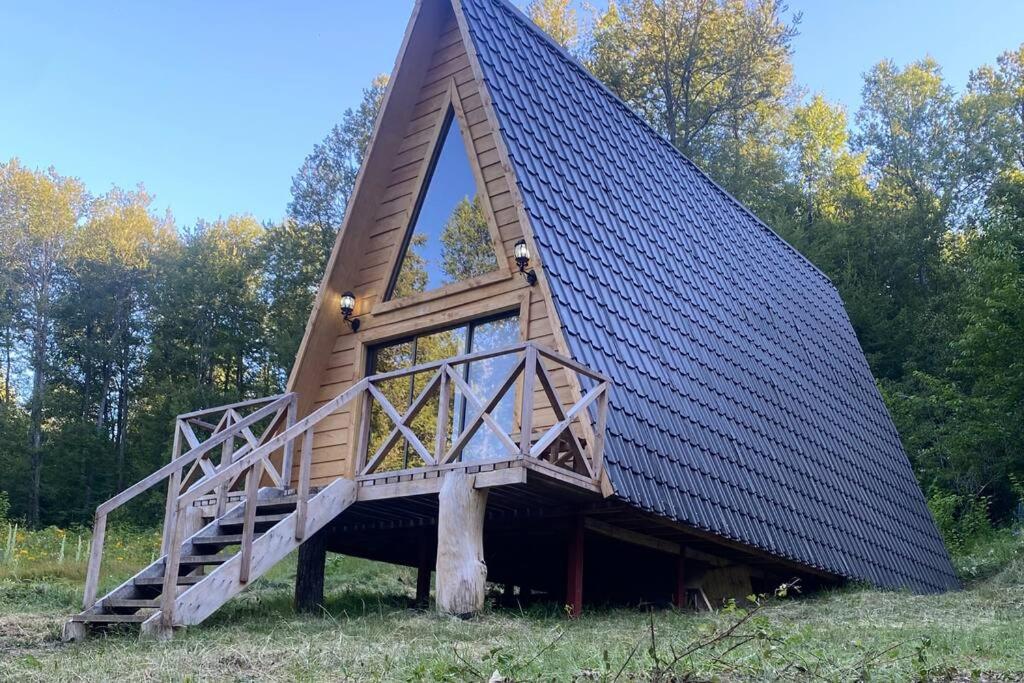 Araucaria Lodge Cabaña Alpina cerca del Parque Conguillío
