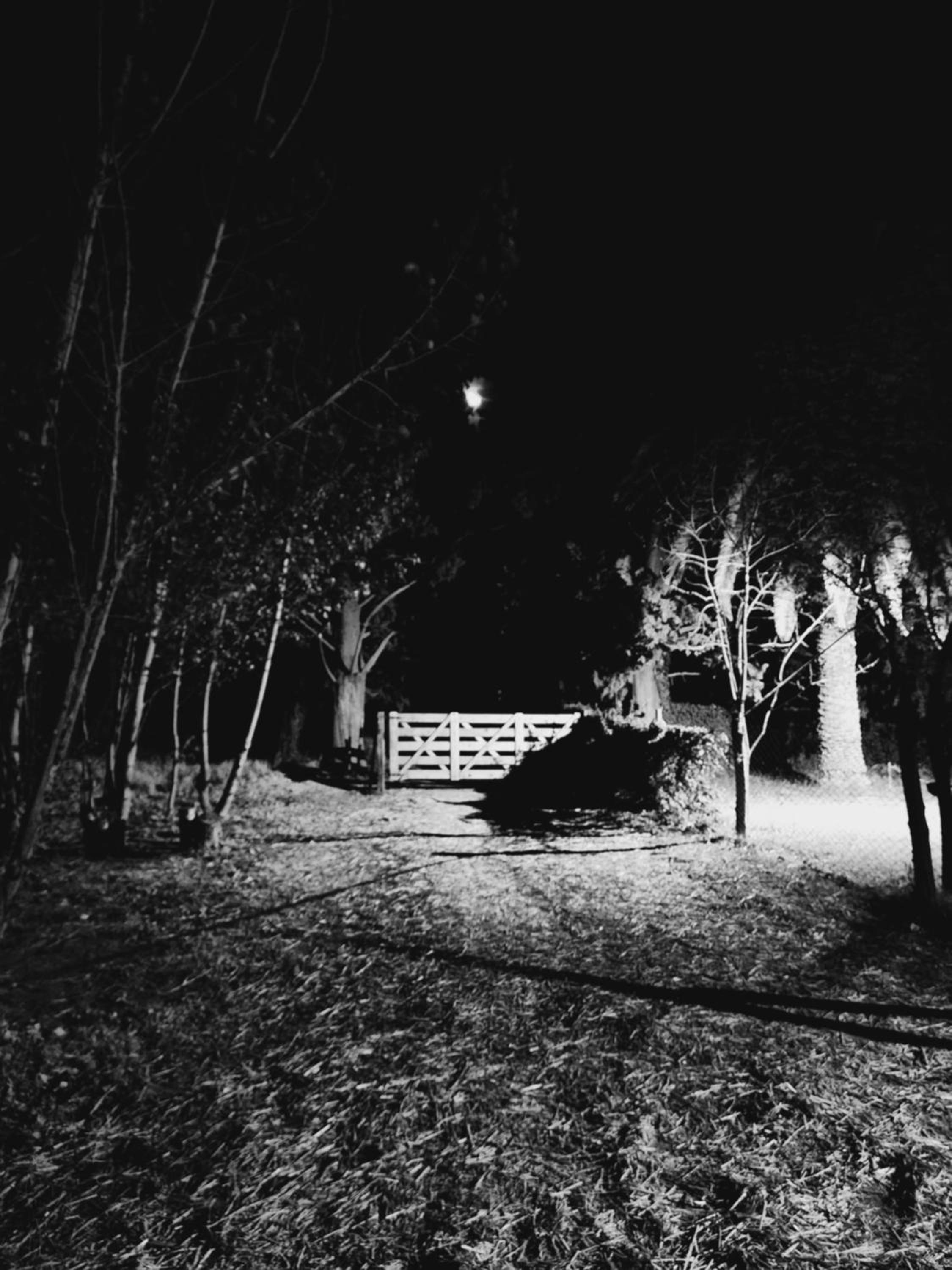 Finca Laurel
