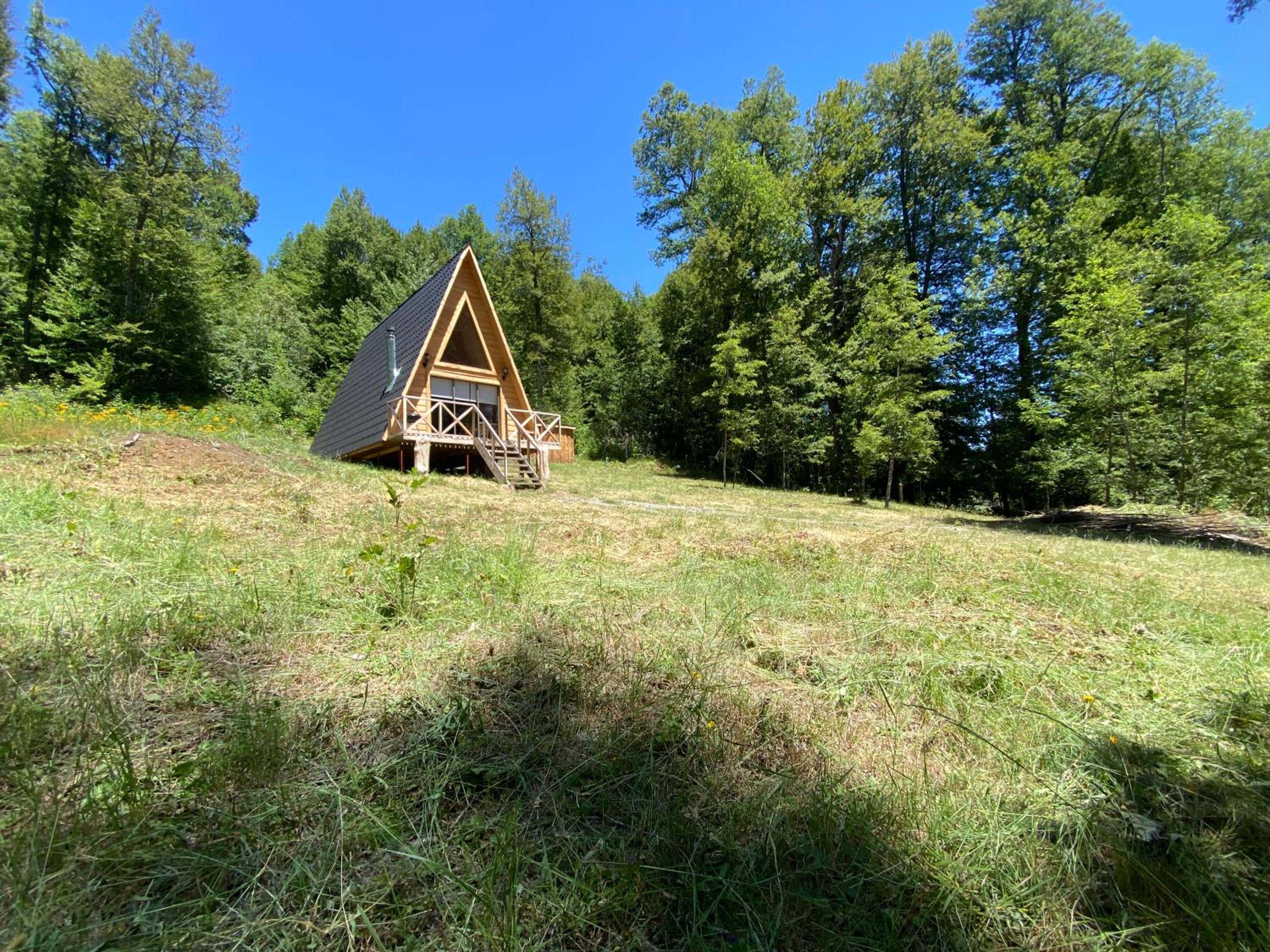 Araucaria Lodge Cabaña Alpina cerca del Parque Conguillío