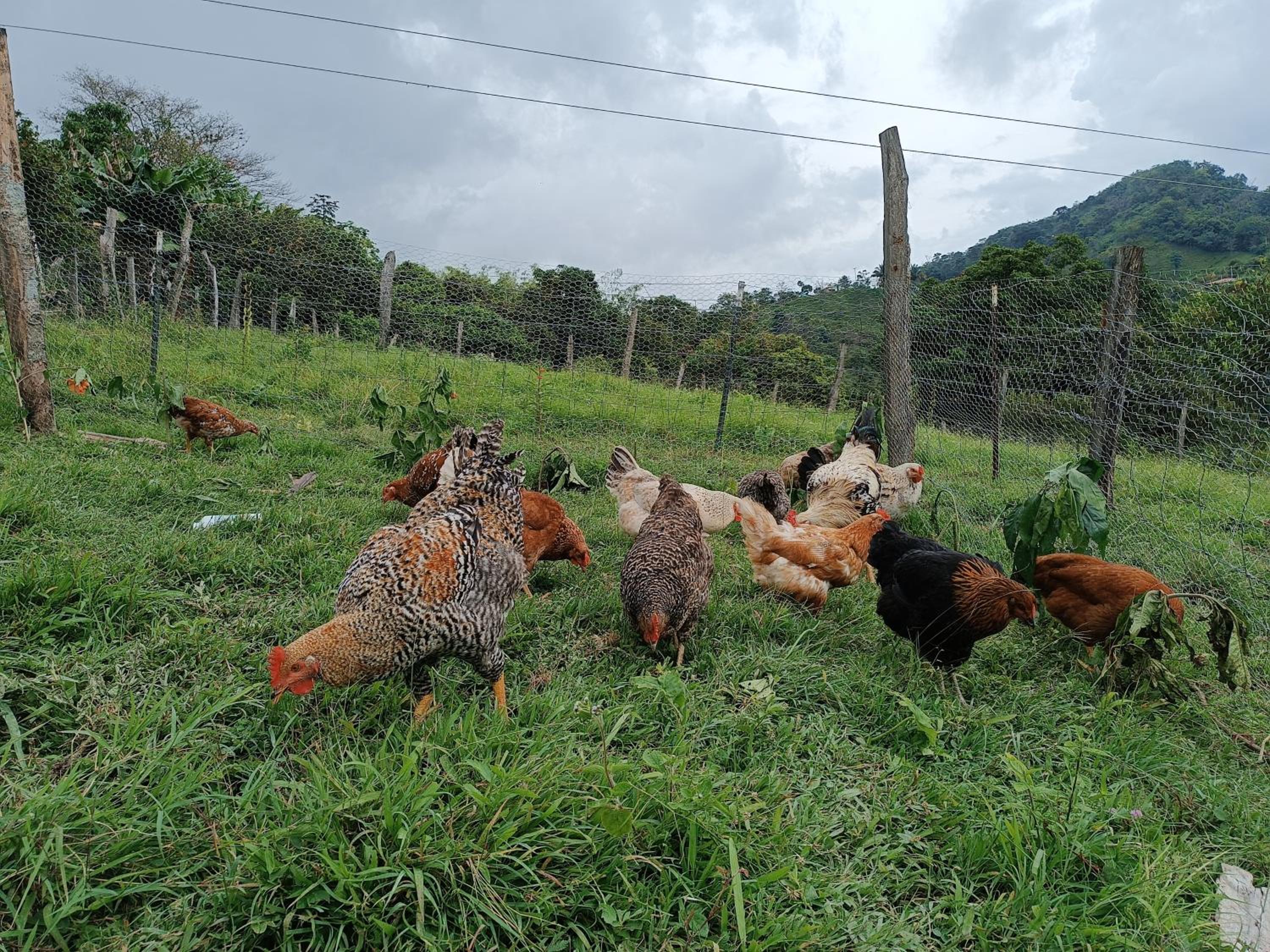 Cabaña independiente en Granja Agroecologica