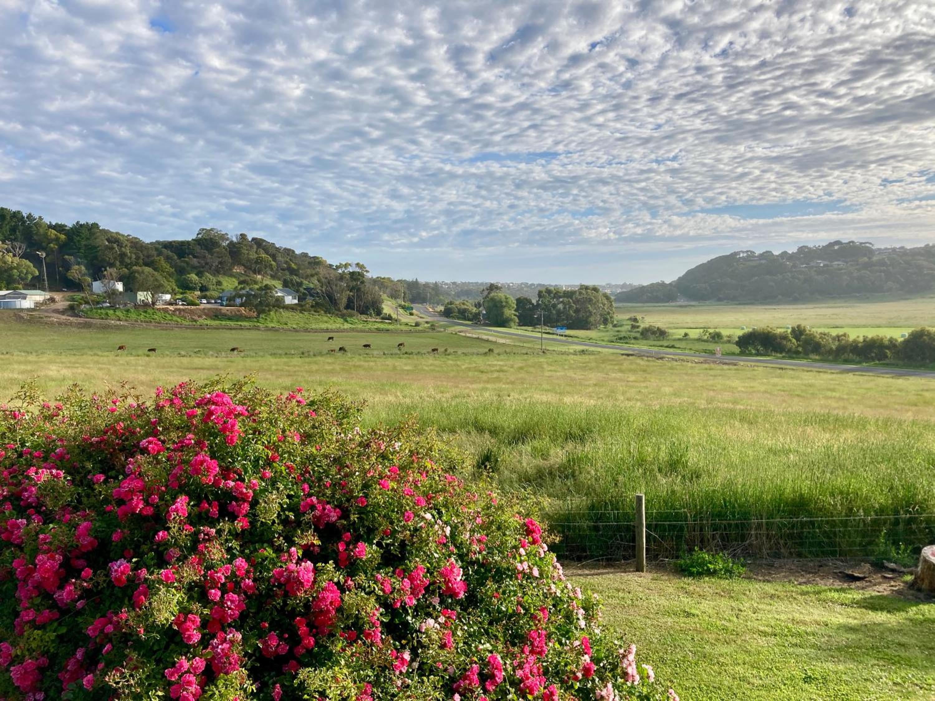 Daysy Hill Country Cottages