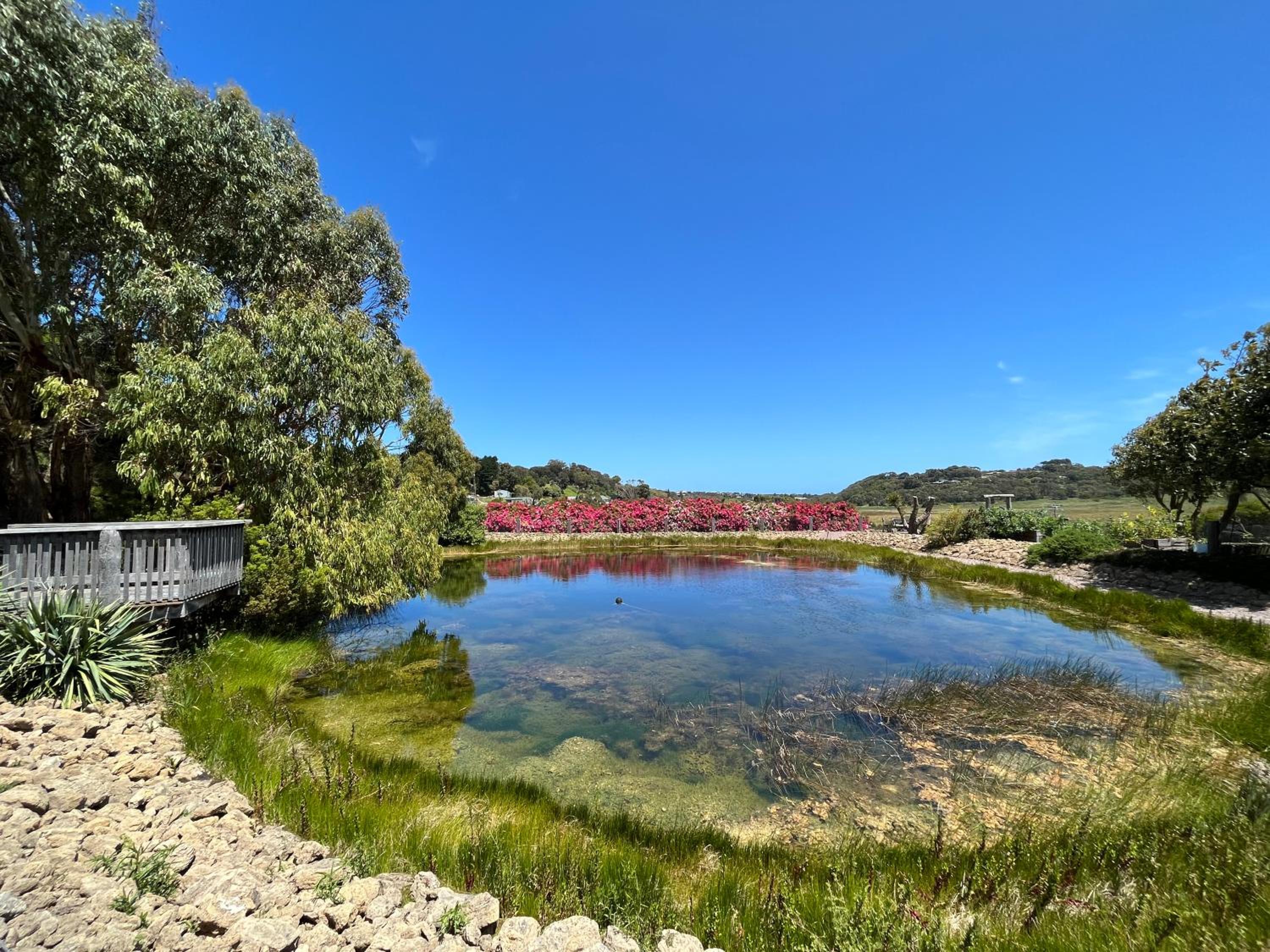 Daysy Hill Country Cottages