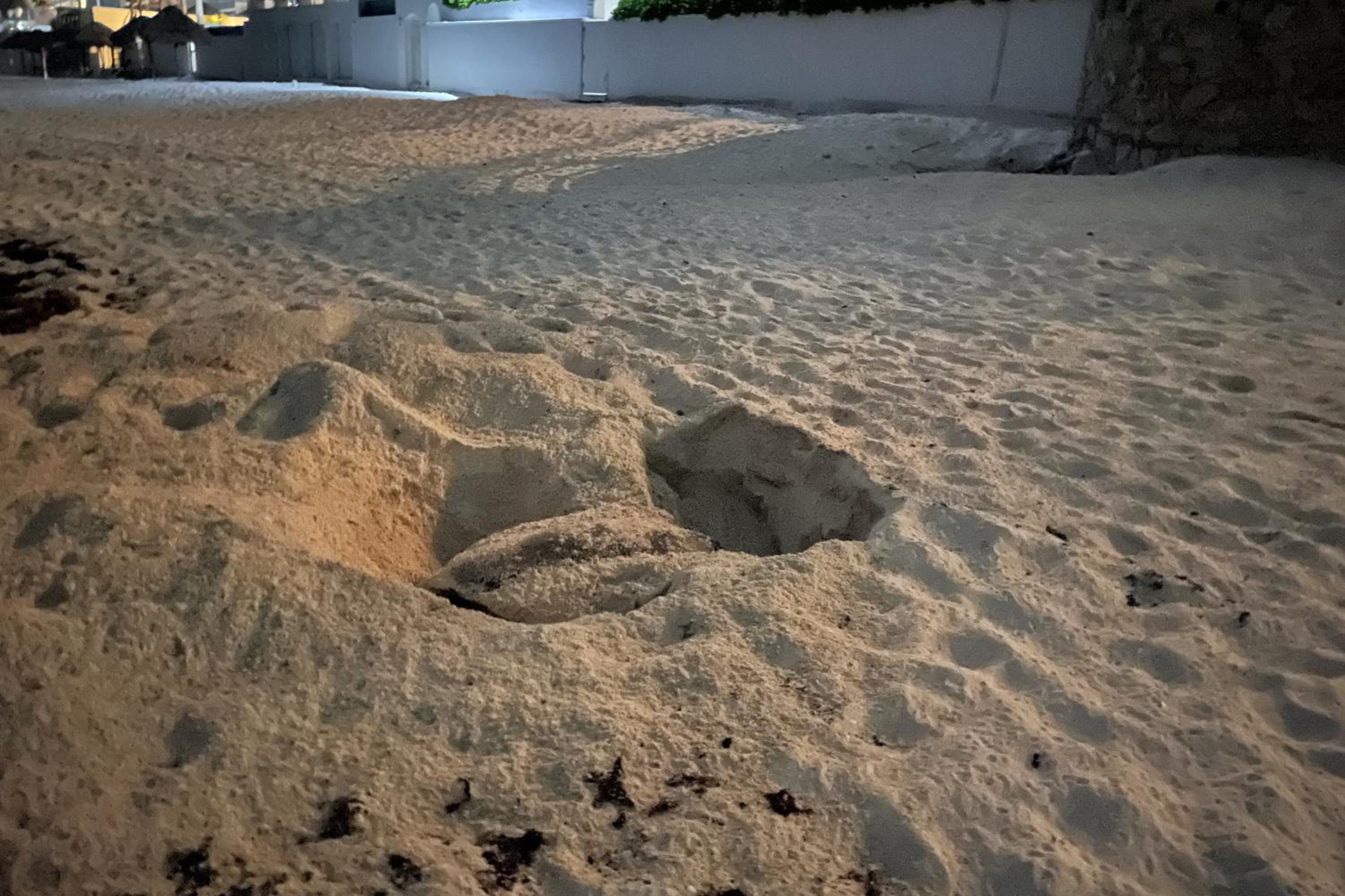 Renovated Studio in Cancun Beach at the Hotel Zone