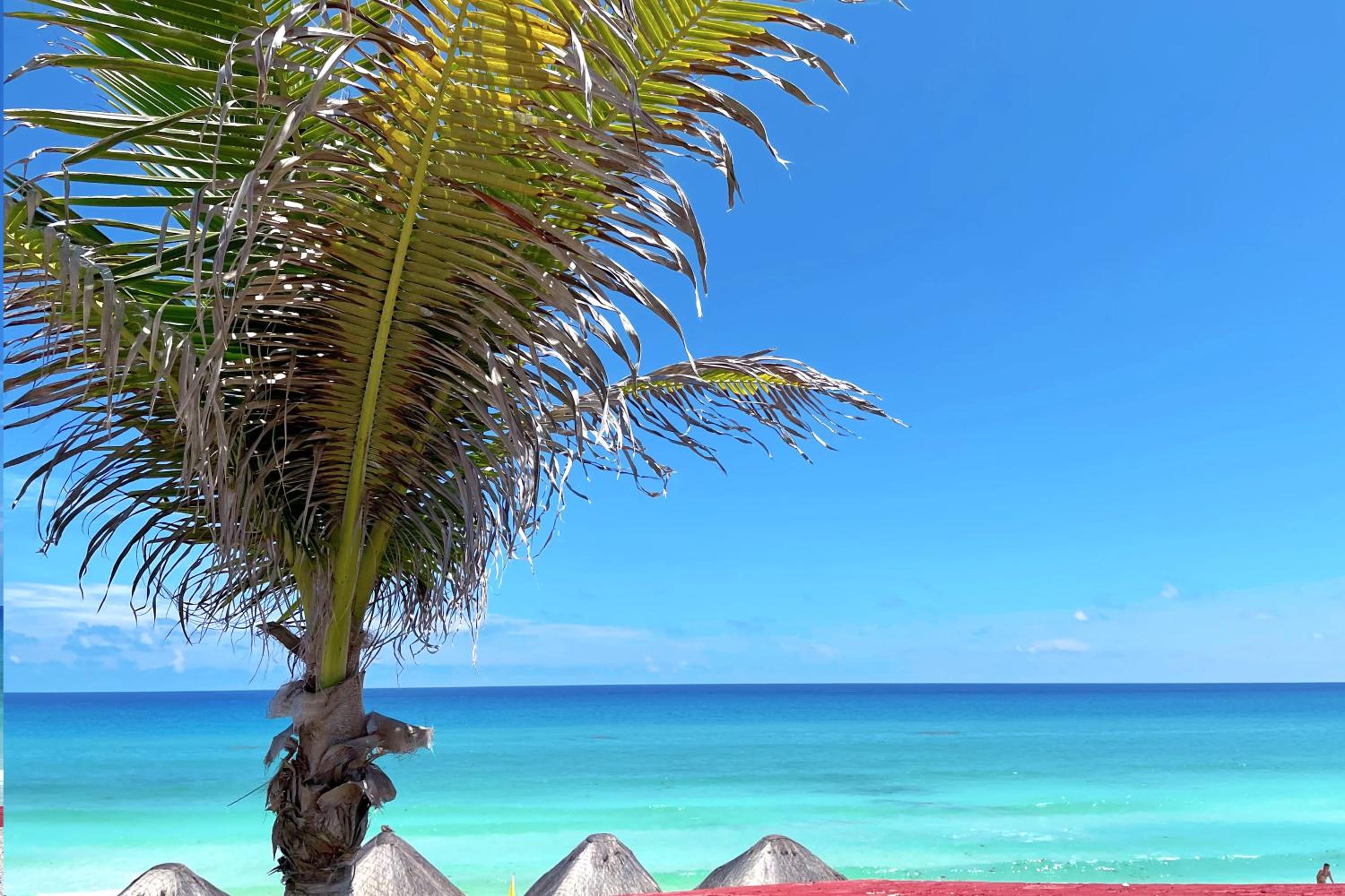 Renovated Studio in Cancun Beach at the Hotel Zone