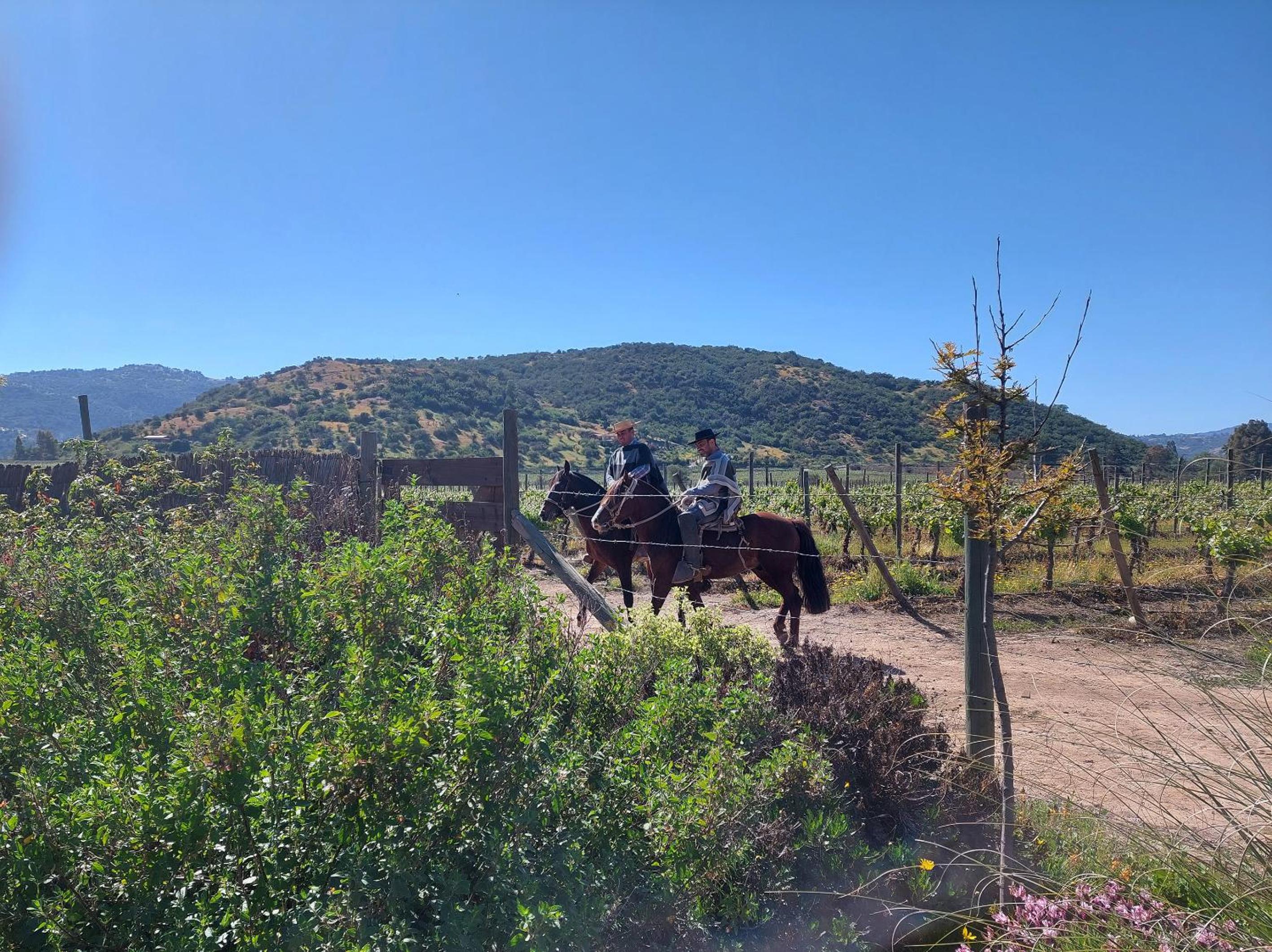 Callihue Lodge