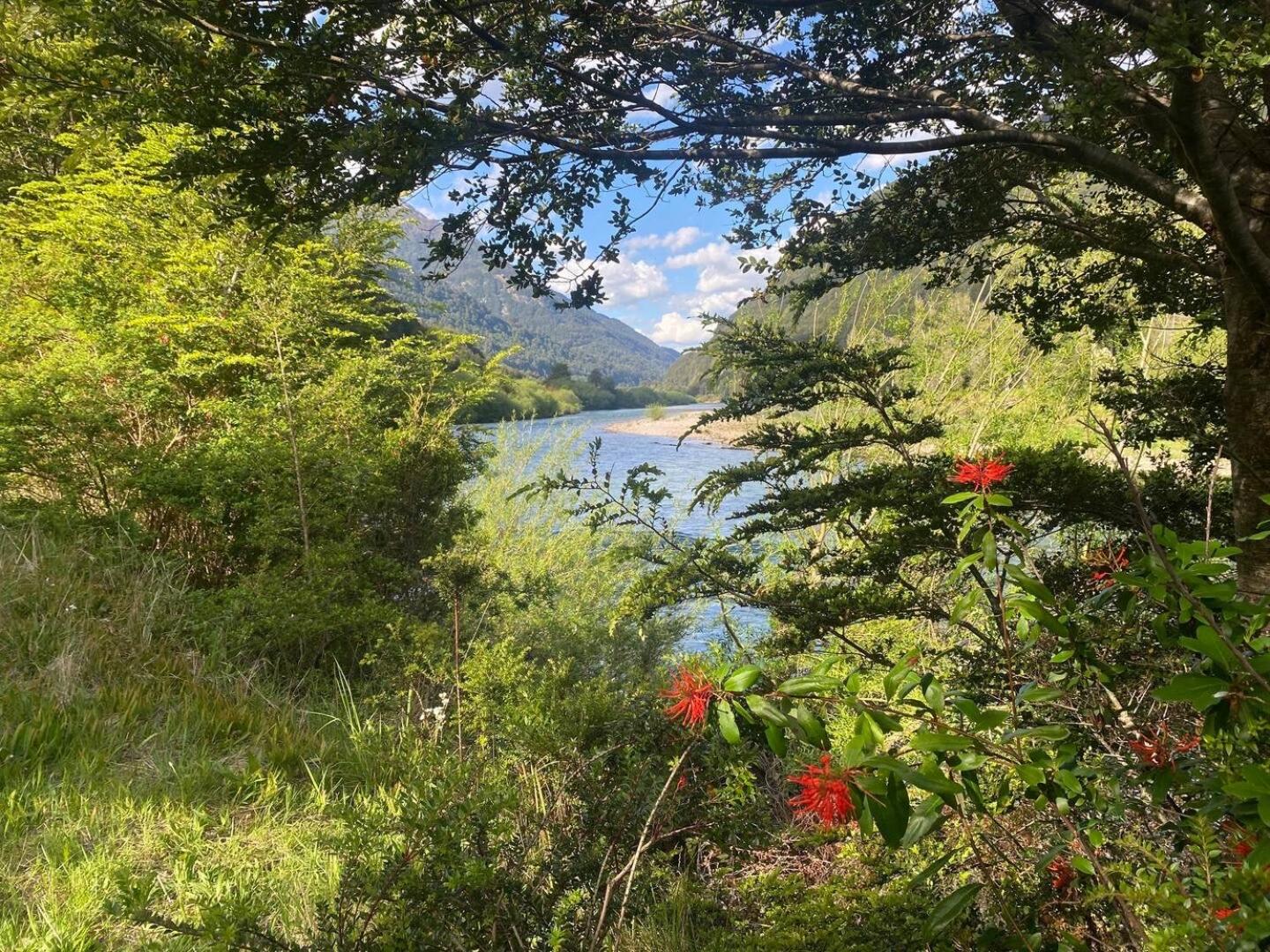 Refugio Macales - Ecocabañas
