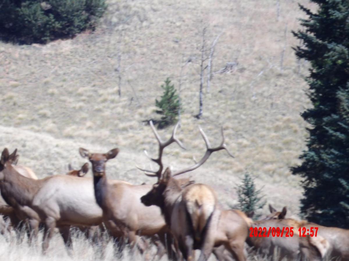 Photo 49
