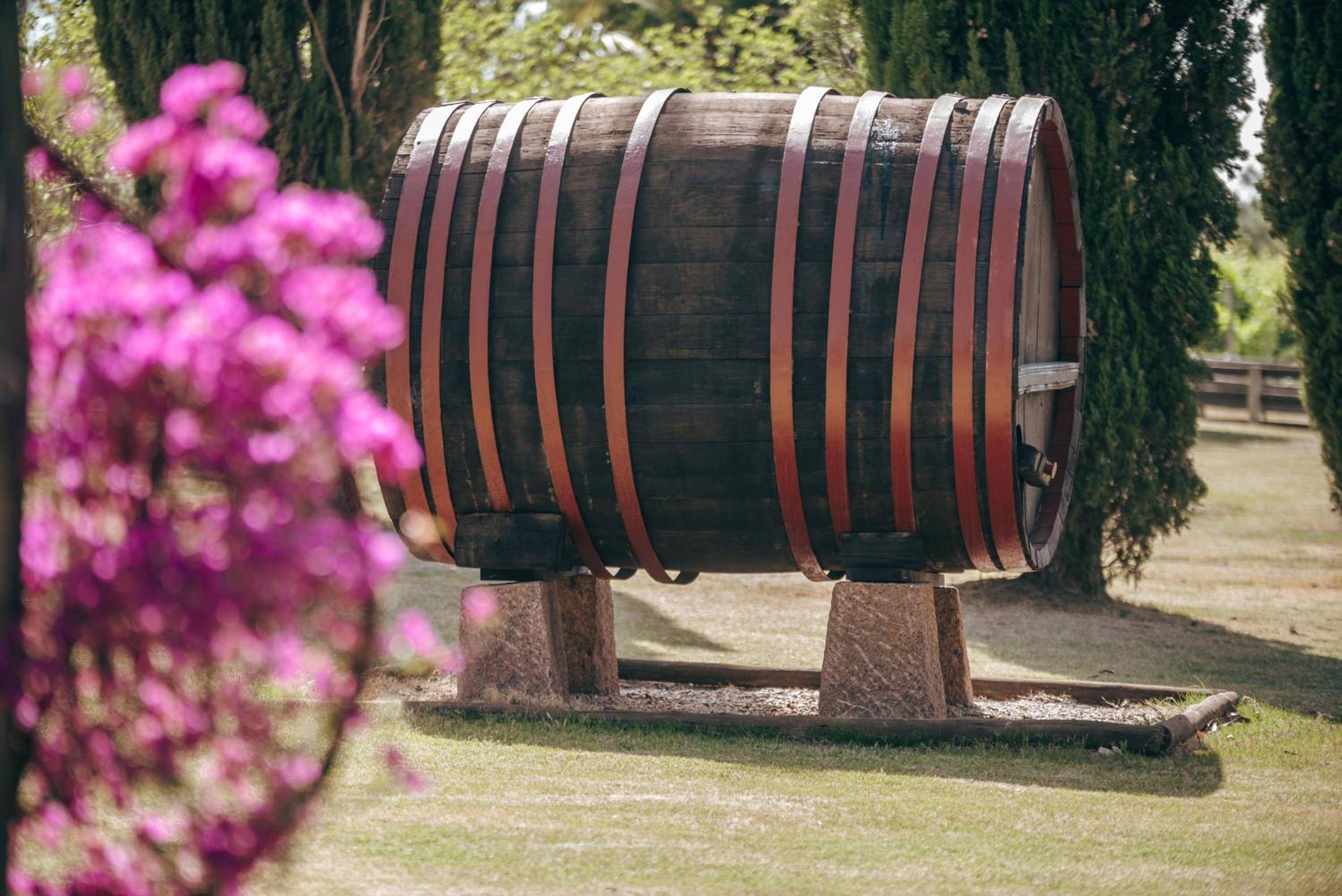 Finca del Sacramento view 3