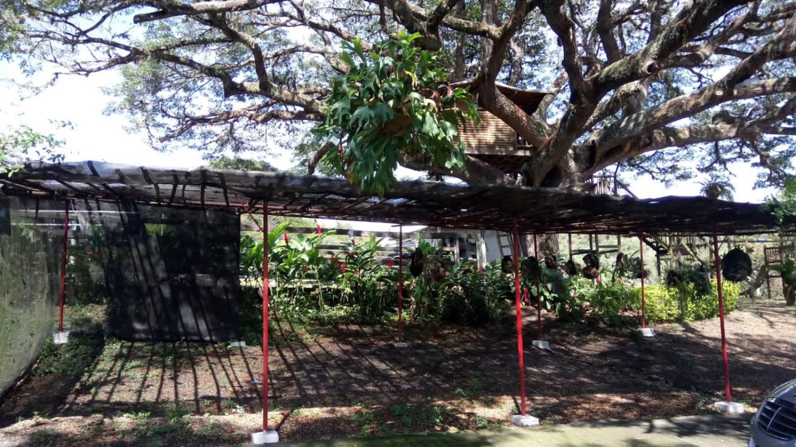 Hacienda Daniela