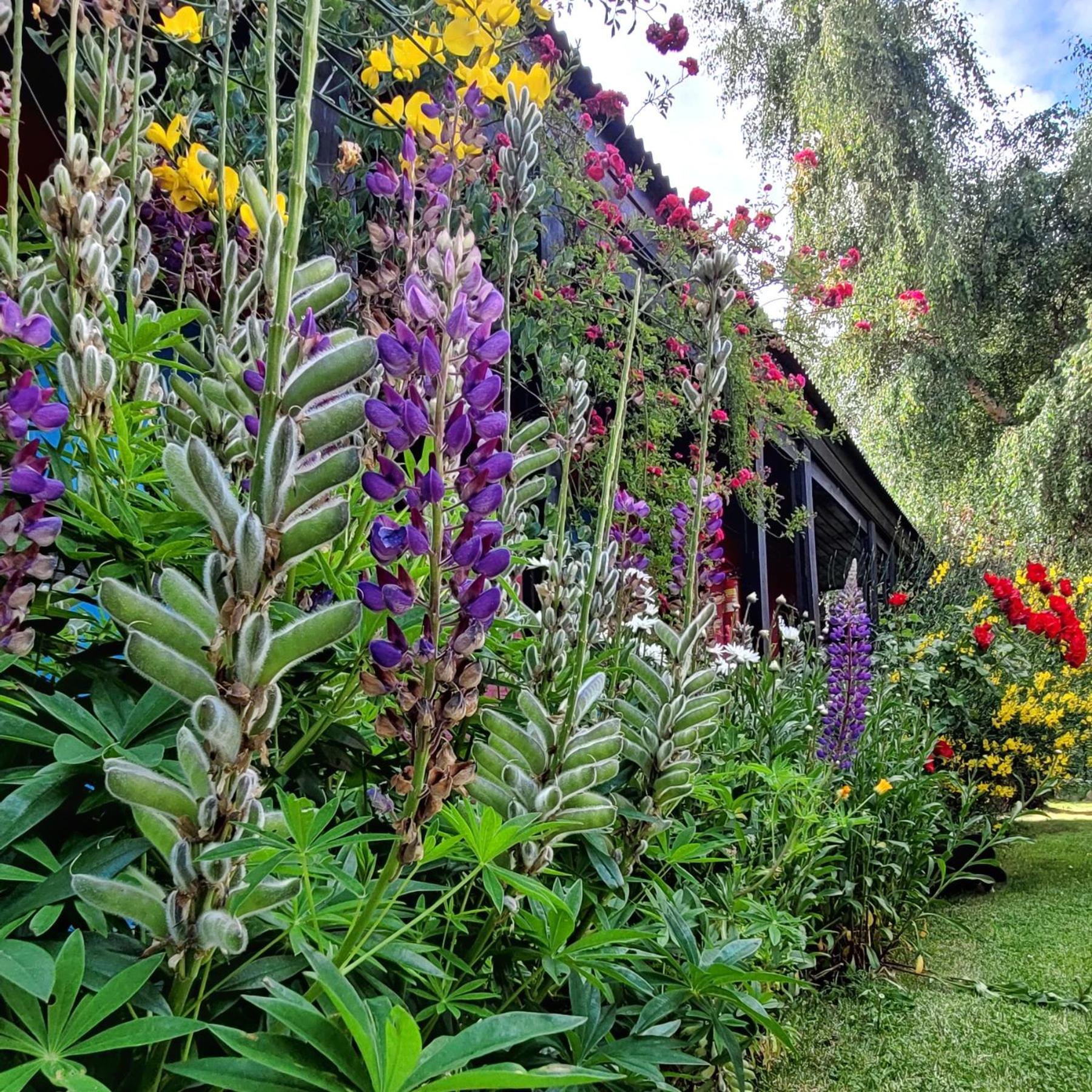 Lago Argentino Hostel