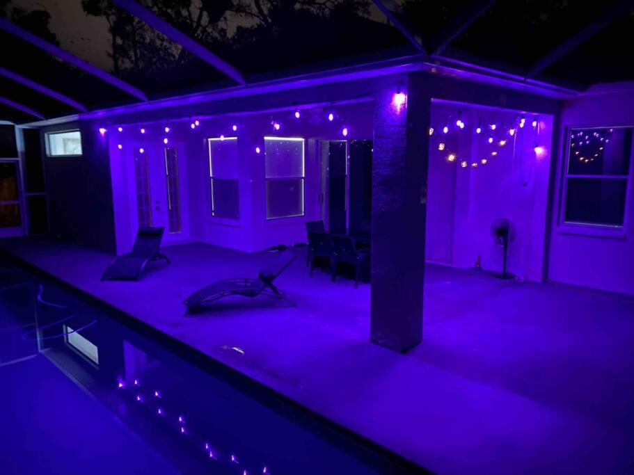 Tampa Vacations - Hidden GEM in the heart of the city!! - Property Image 12