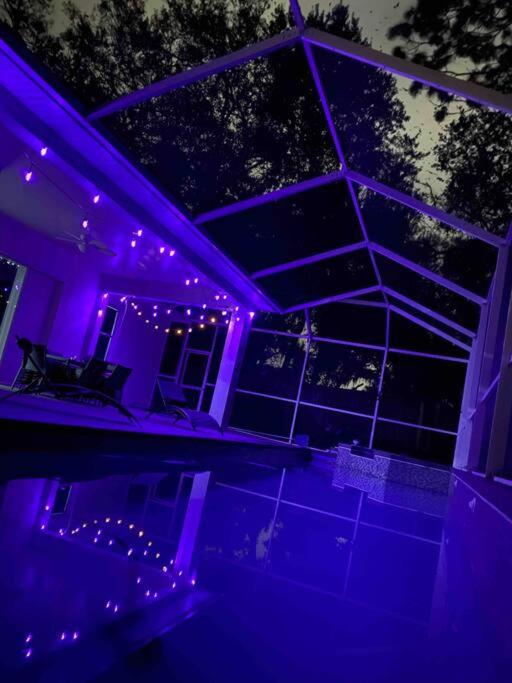 Tampa Vacations - Hidden GEM in the heart of the city!! - Property Image 11