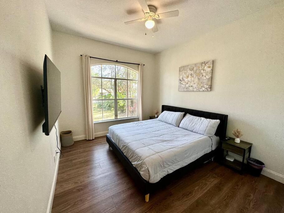 Tampa Vacations - Hidden GEM in the heart of the city!! - Property Image 7