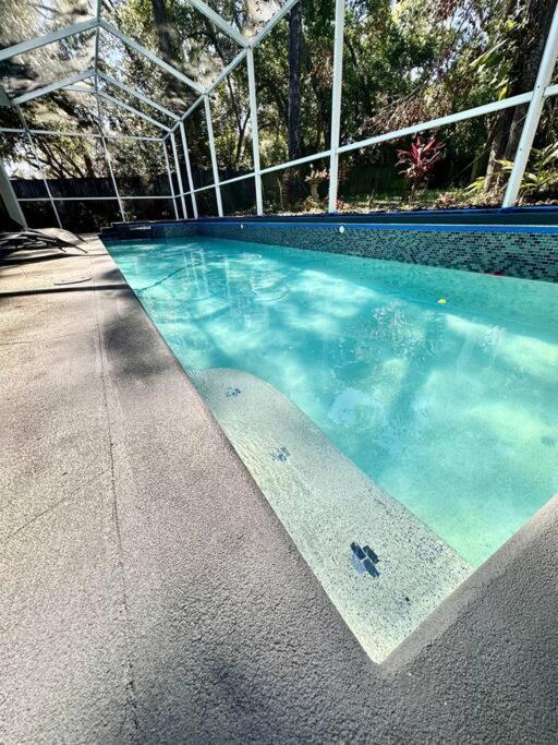 Tampa Vacations - Hidden GEM in the heart of the city!! - Property Image 4