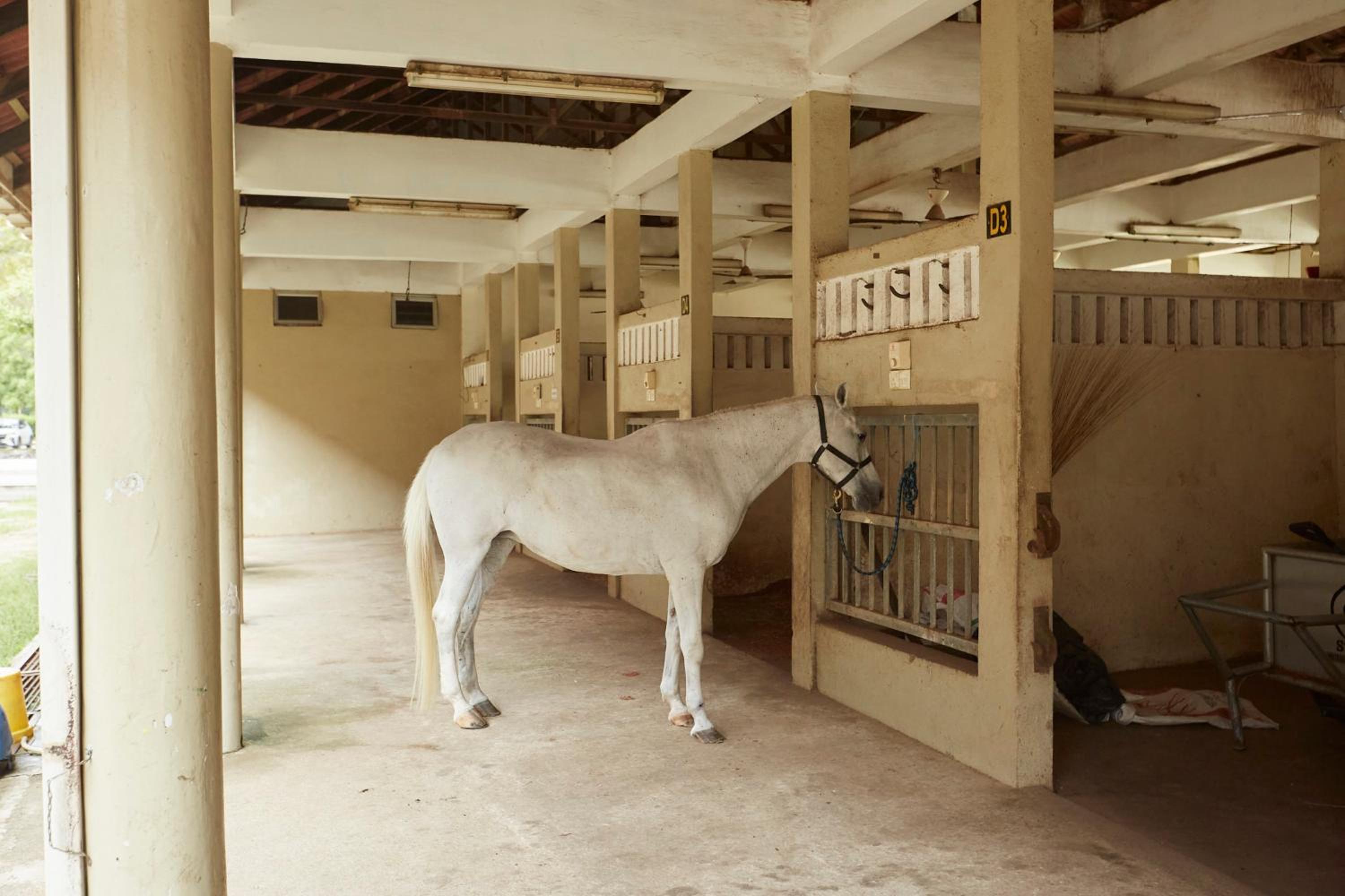 Terengganu Equestrian Resort