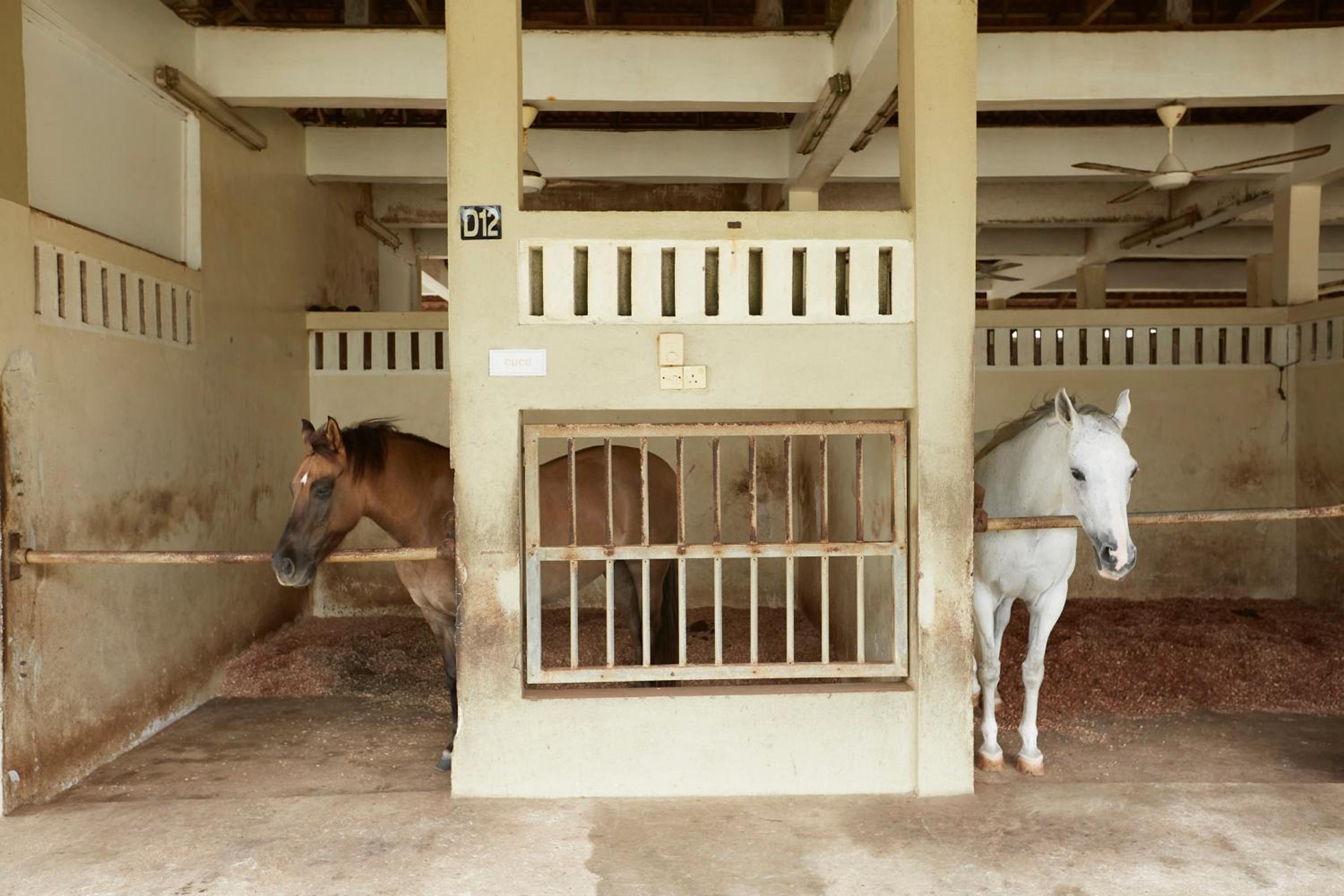 Terengganu Equestrian Resort