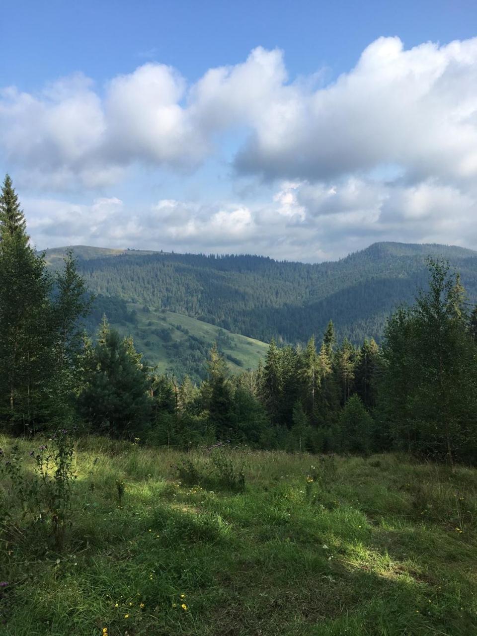 Котедж "У Бойка" view 2