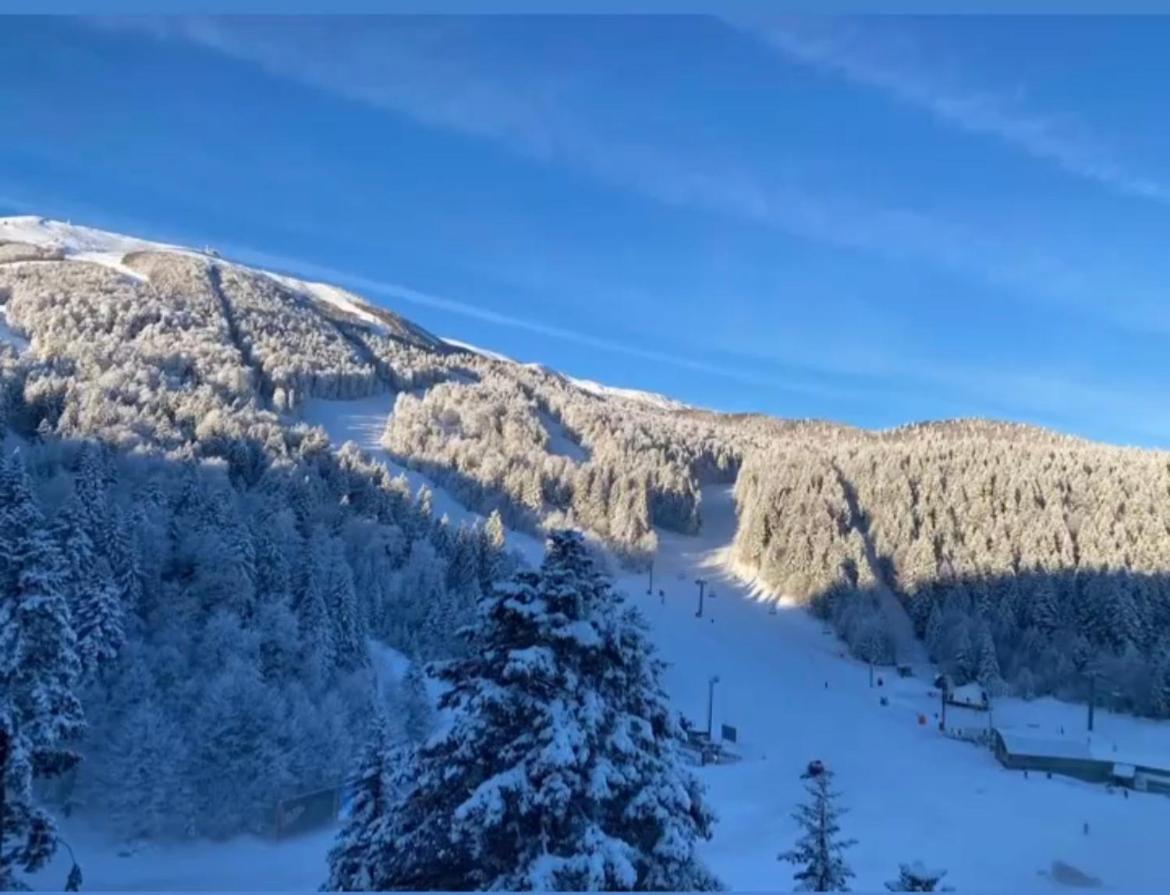 The View - ski to door