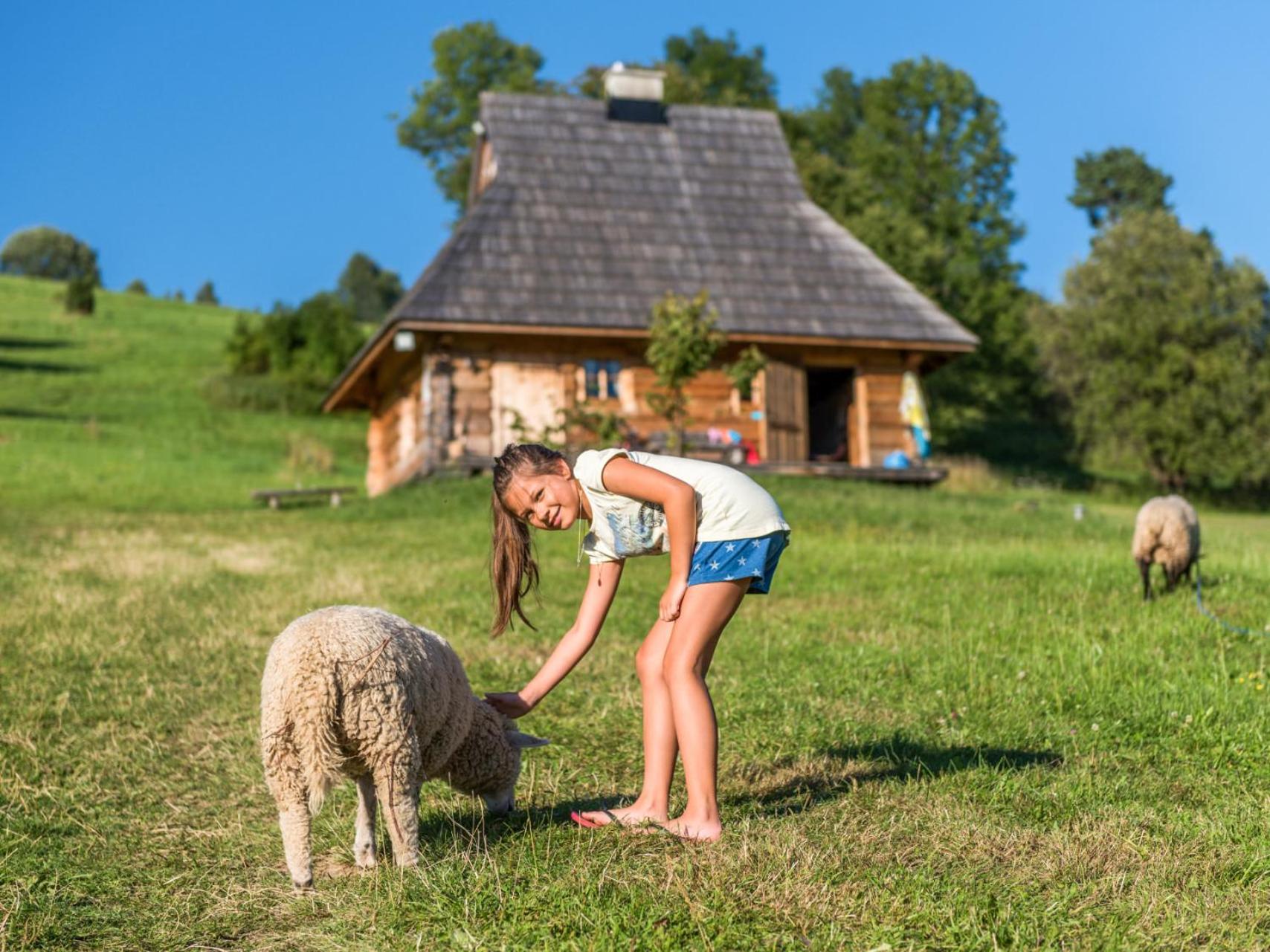 Gościniec Rabe - Agro&SPA view 3