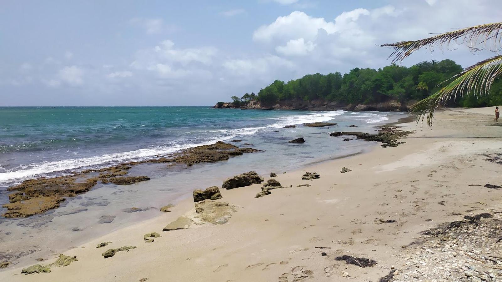 Charmante villa avec accès direct à la mer view 4