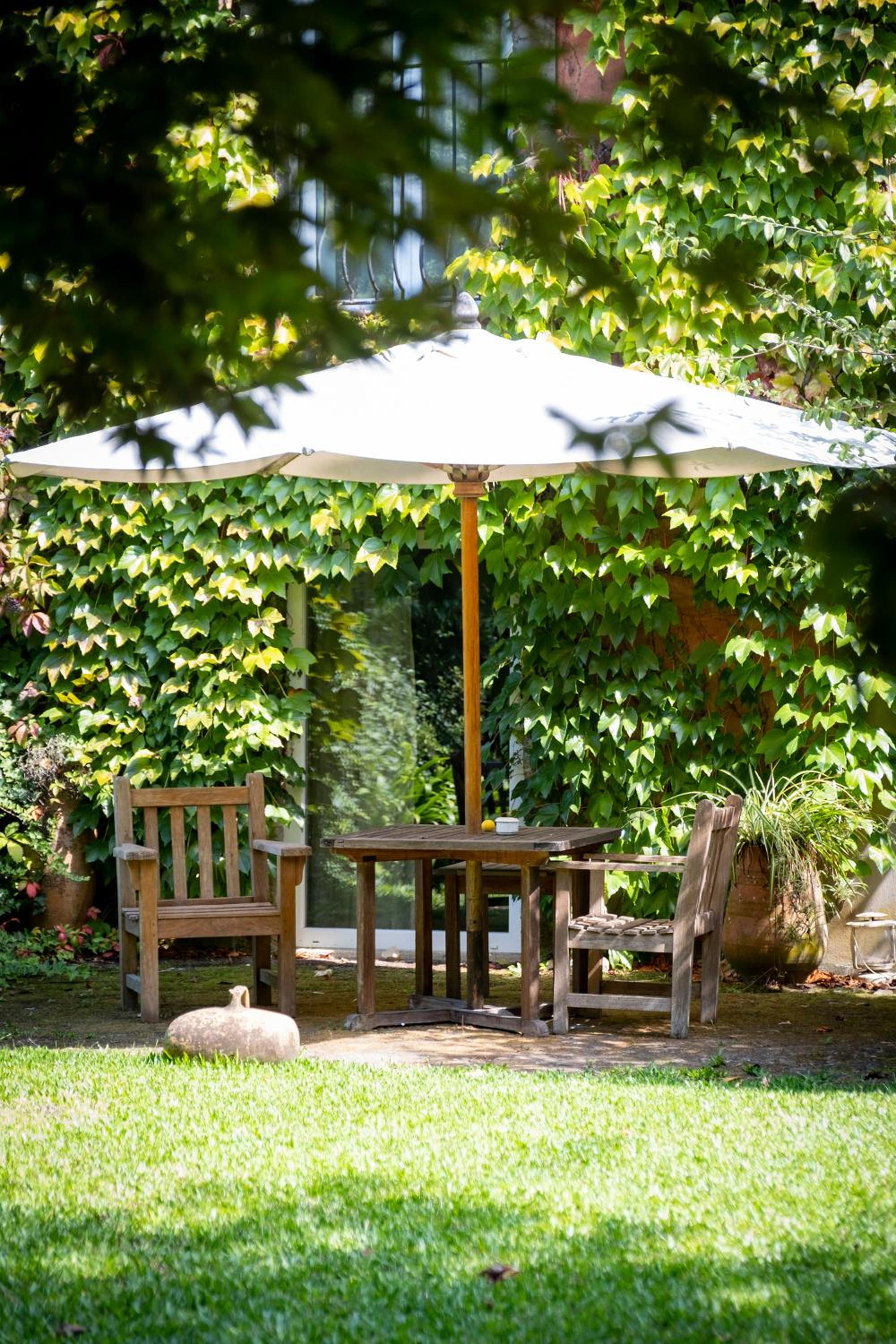 Wine Tourism - Quinta do Ameal