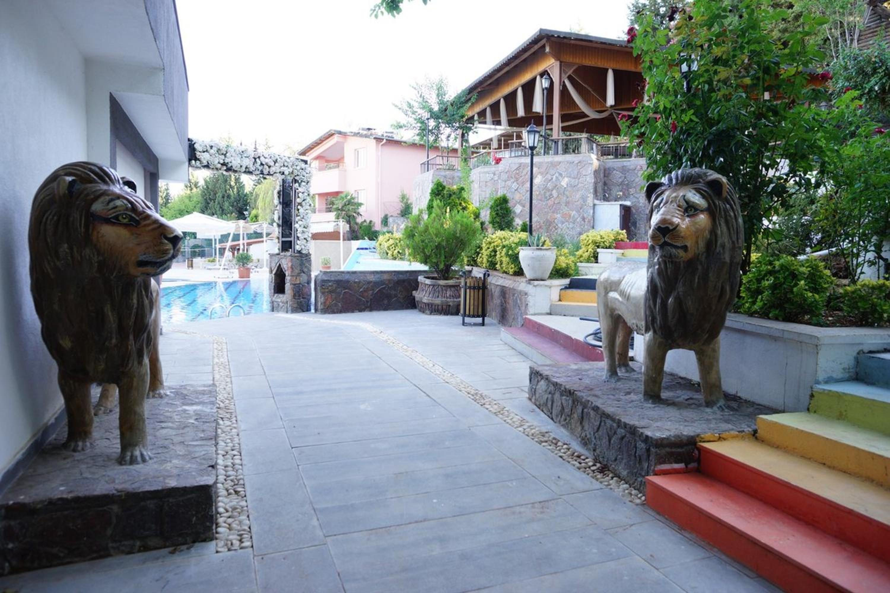 Photo 15