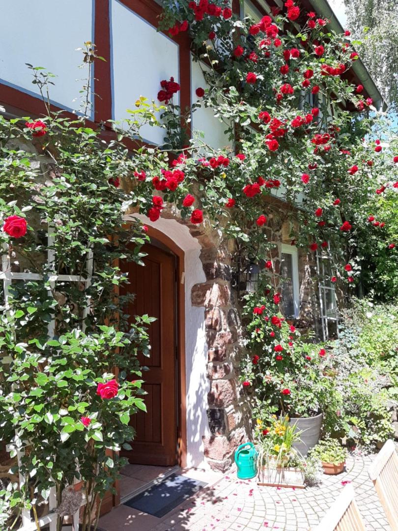 Ferienhaus Burgblick
