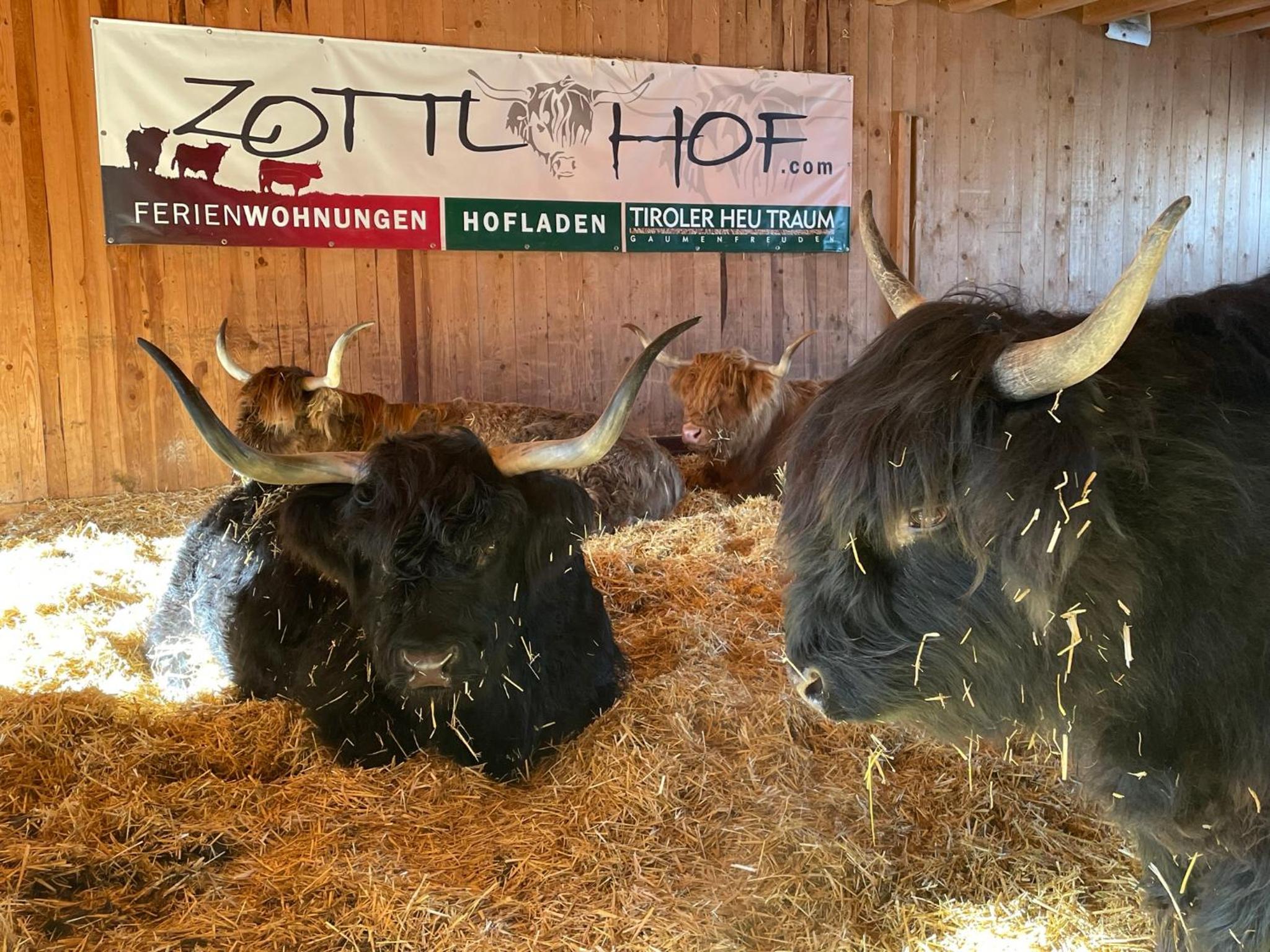 Zottlhof- dein Urlaubszauber auf 1.200m