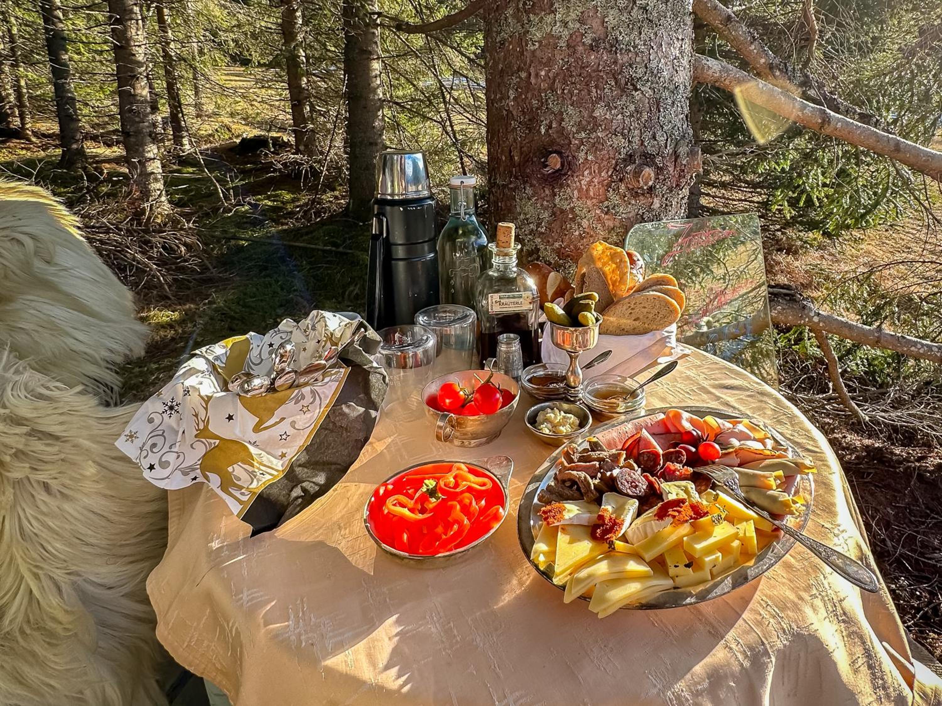 Zottlhof- dein Urlaubszauber auf 1.200m