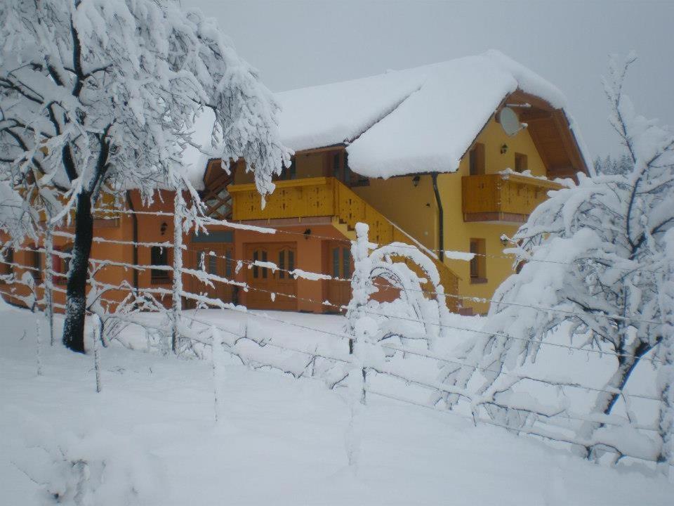 Photo 41