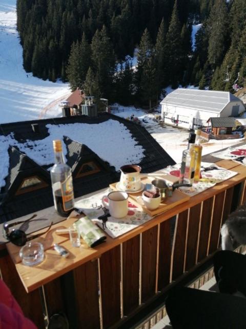 Primorka Golte view 5