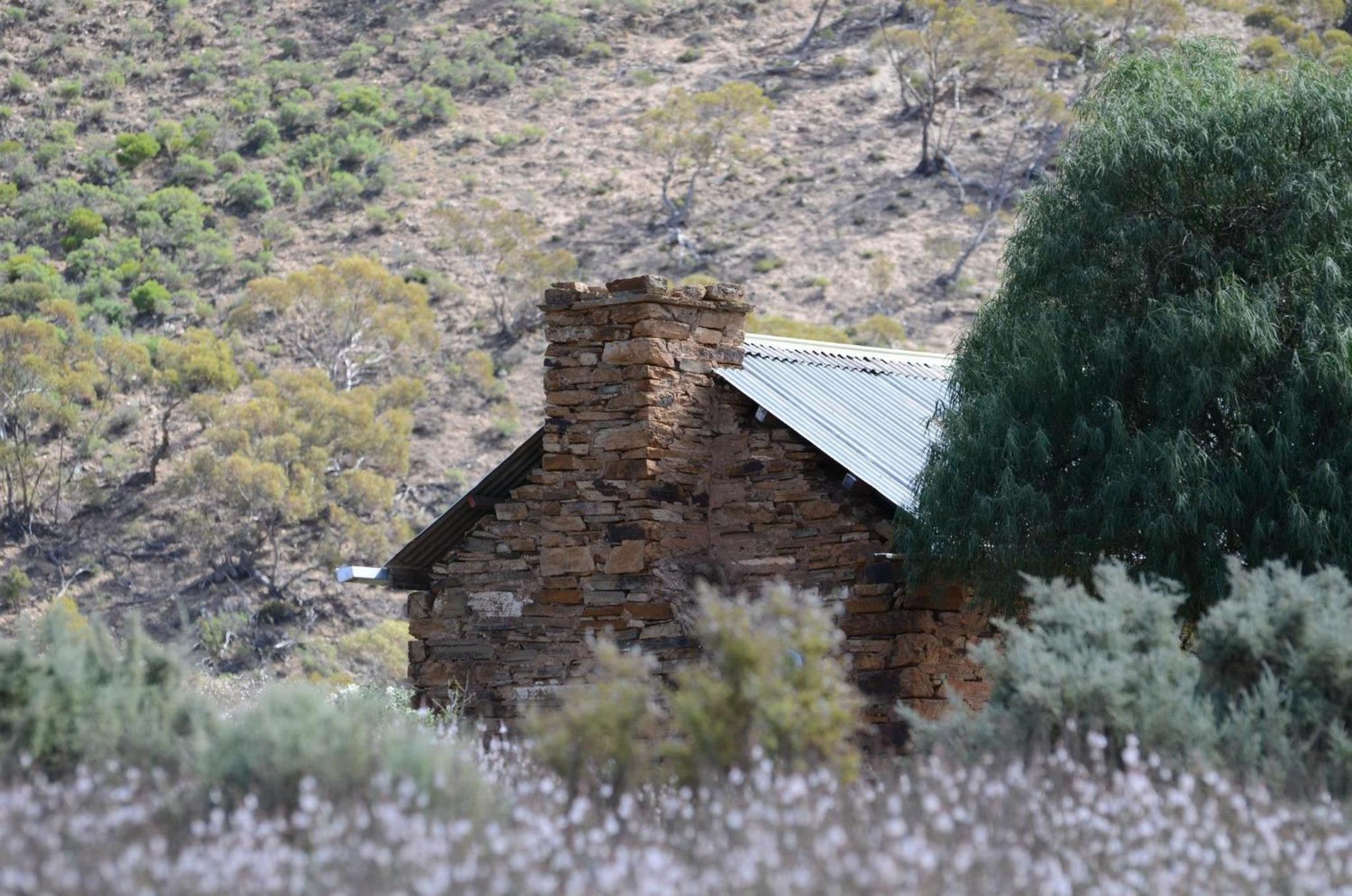 Photo 19