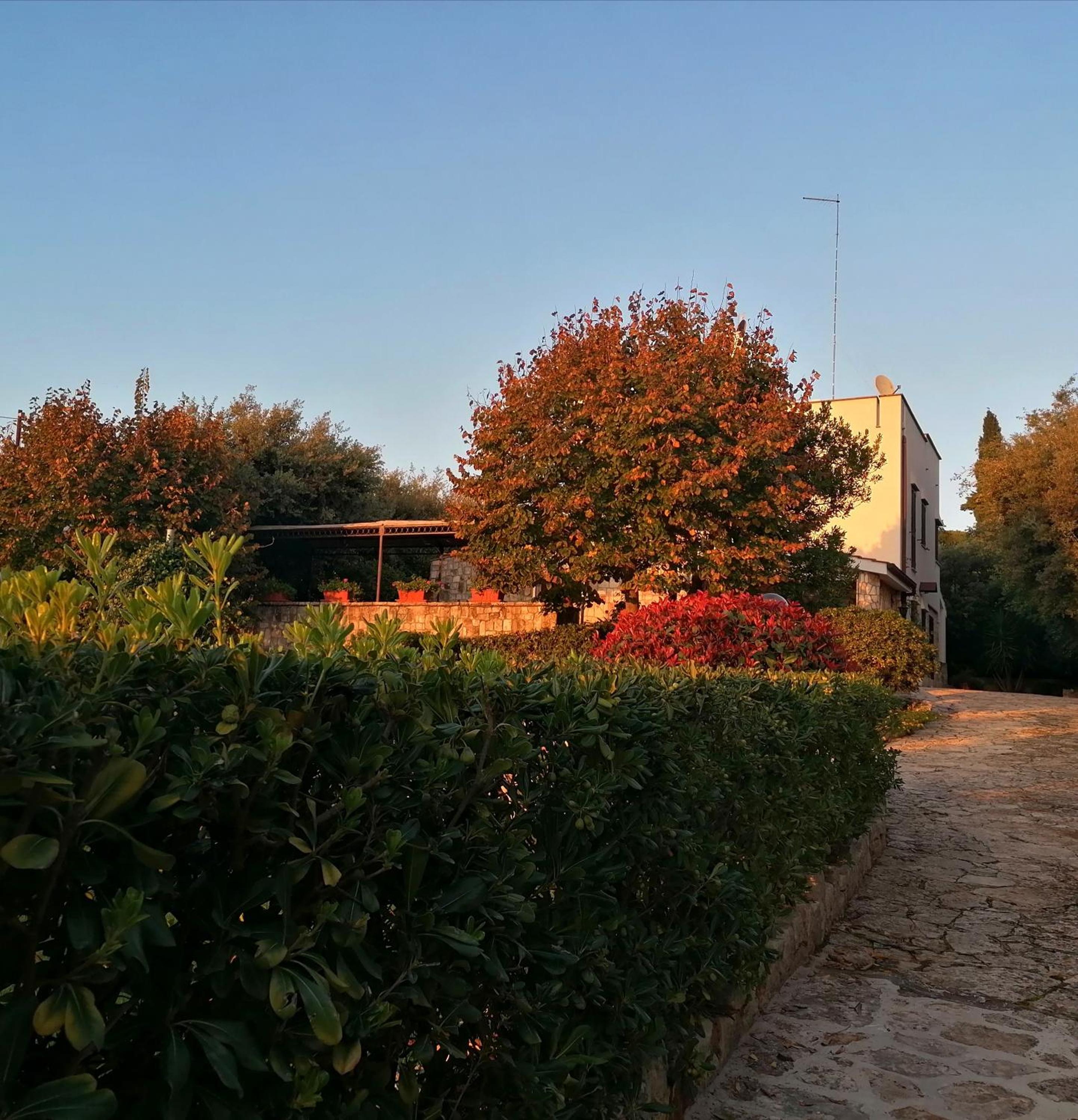 Photo 12