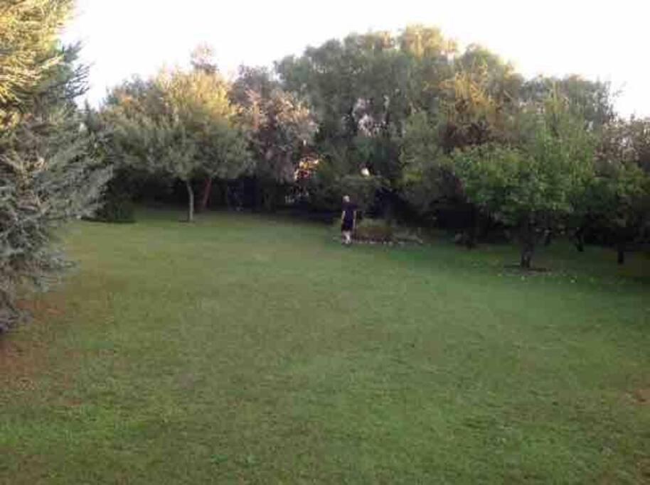 Las Lavandas - Hermoso Chalet en Villa de Merlo con vista a las sierras