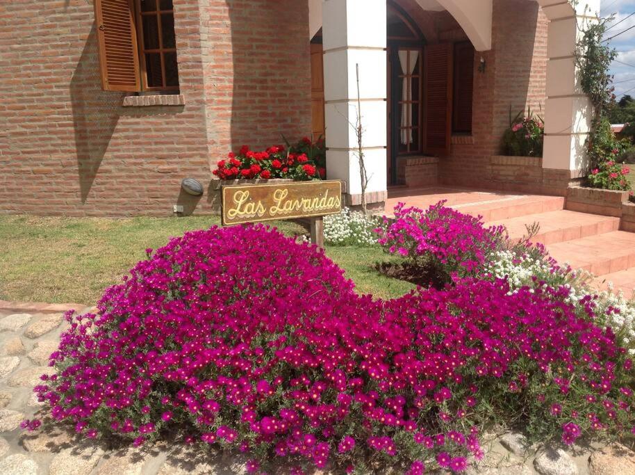Las Lavandas - Hermoso Chalet en Villa de Merlo con vista a las sierras