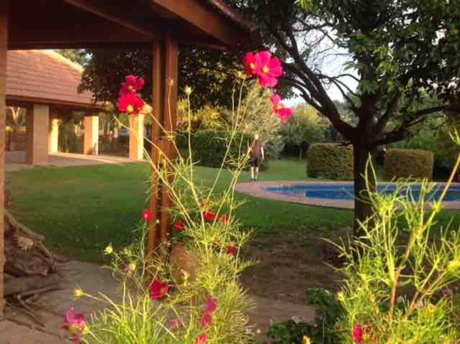 Las Lavandas - Hermoso Chalet en Villa de Merlo con vista a las sierras