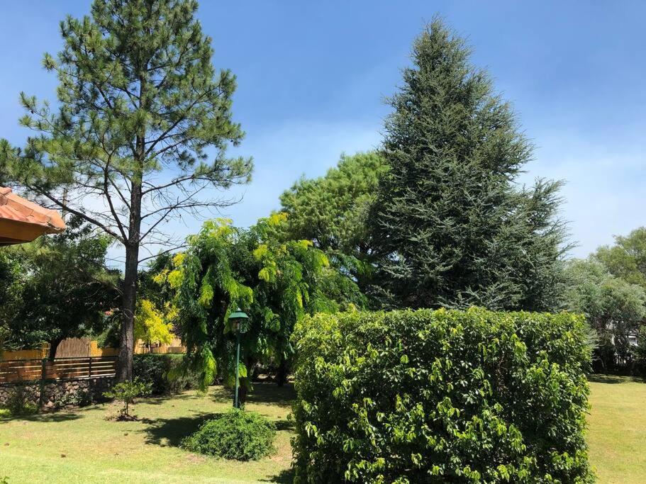 Las Lavandas - Hermoso Chalet en Villa de Merlo con vista a las sierras